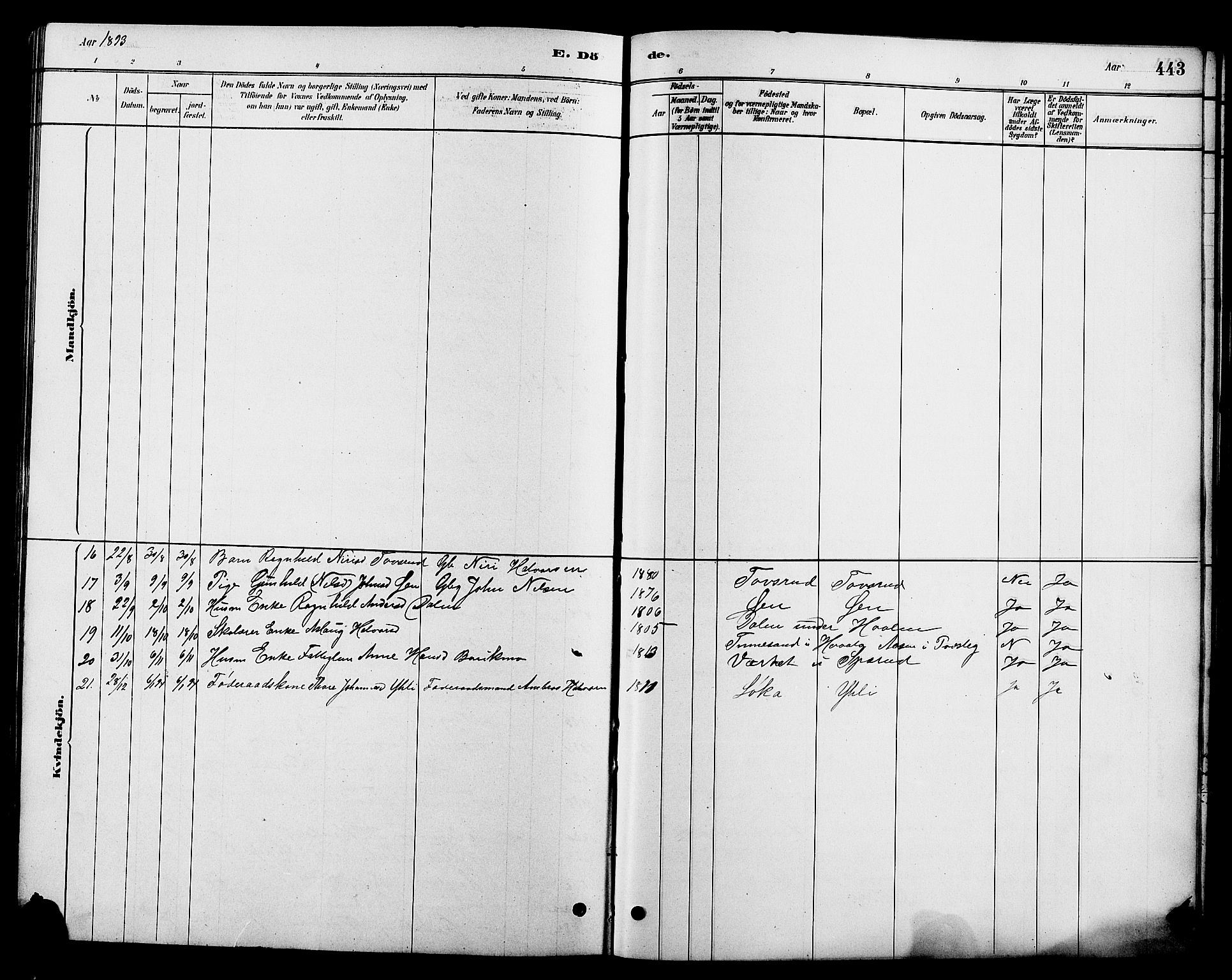 Heddal kirkebøker, SAKO/A-268/G/Ga/L0002: Parish register (copy) no. I 2, 1879-1908, p. 443