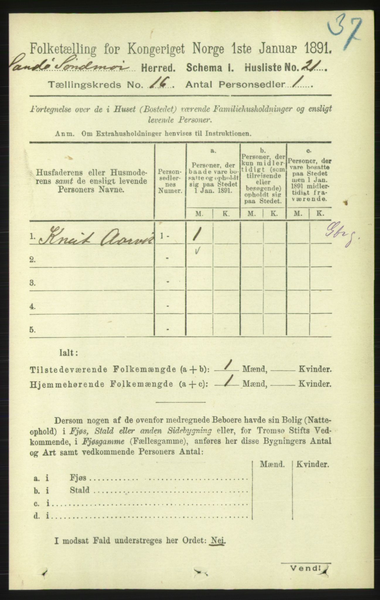 RA, 1891 census for 1514 Sande, 1891, p. 3160