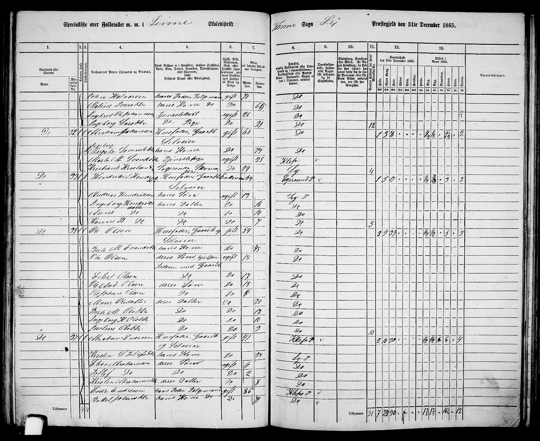 RA, 1865 census for Lye, 1865, p. 102