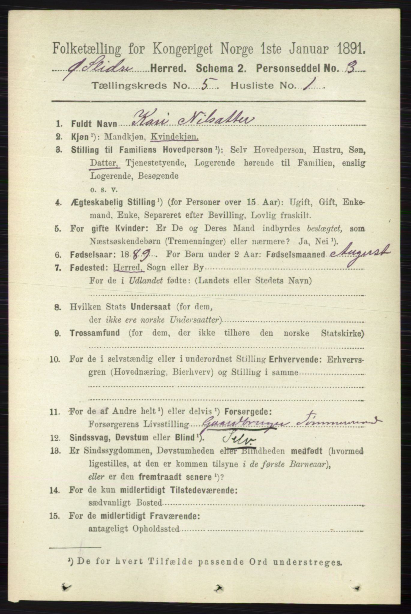 RA, 1891 census for 0544 Øystre Slidre, 1891, p. 1604