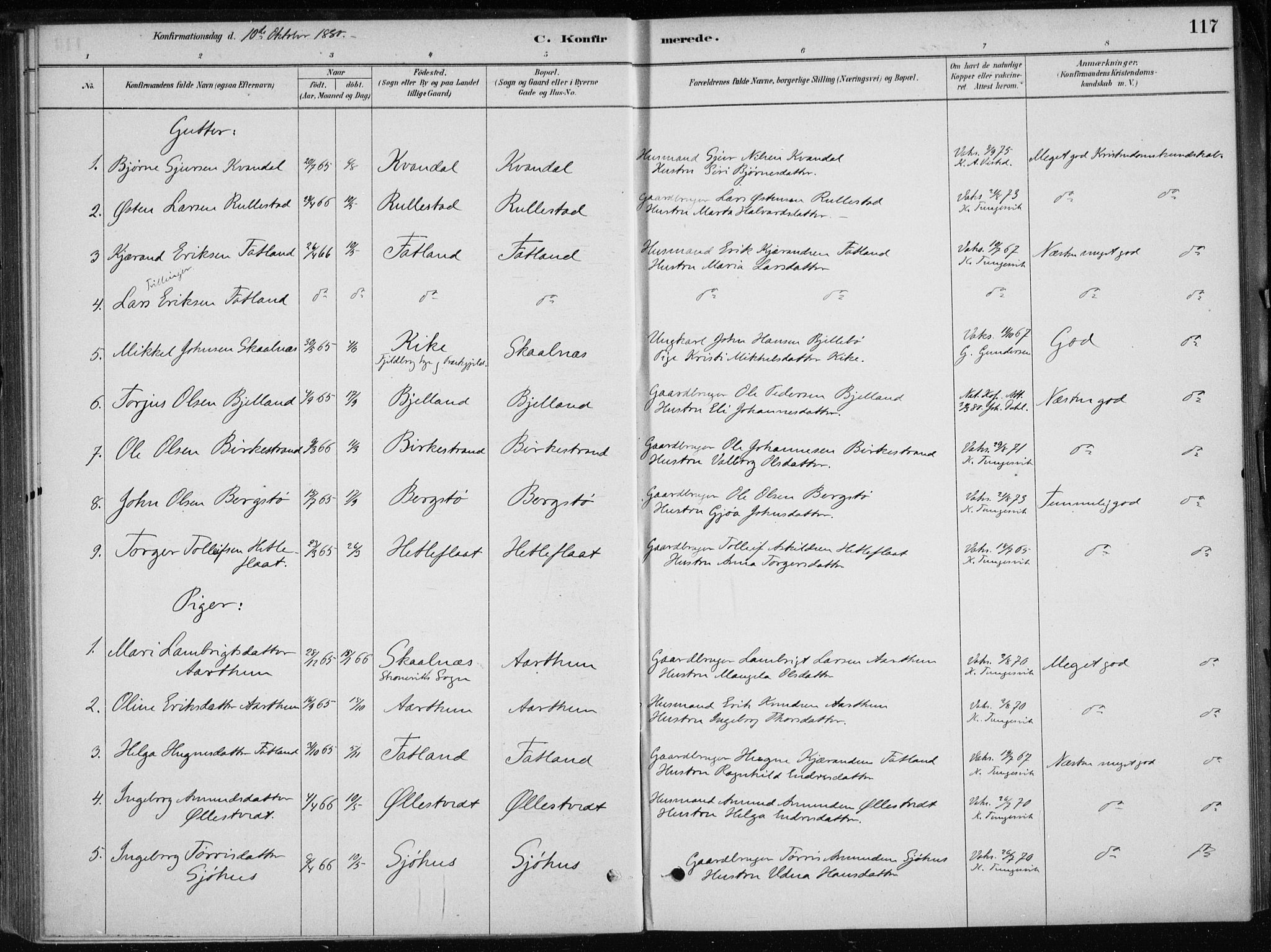 Skånevik sokneprestembete, SAB/A-77801/H/Haa: Parish register (official) no. E  1, 1879-1901, p. 117