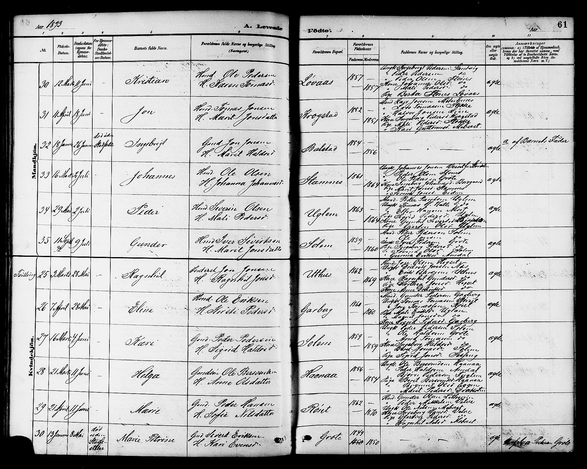 Ministerialprotokoller, klokkerbøker og fødselsregistre - Sør-Trøndelag, AV/SAT-A-1456/695/L1157: Parish register (copy) no. 695C08, 1889-1913, p. 61