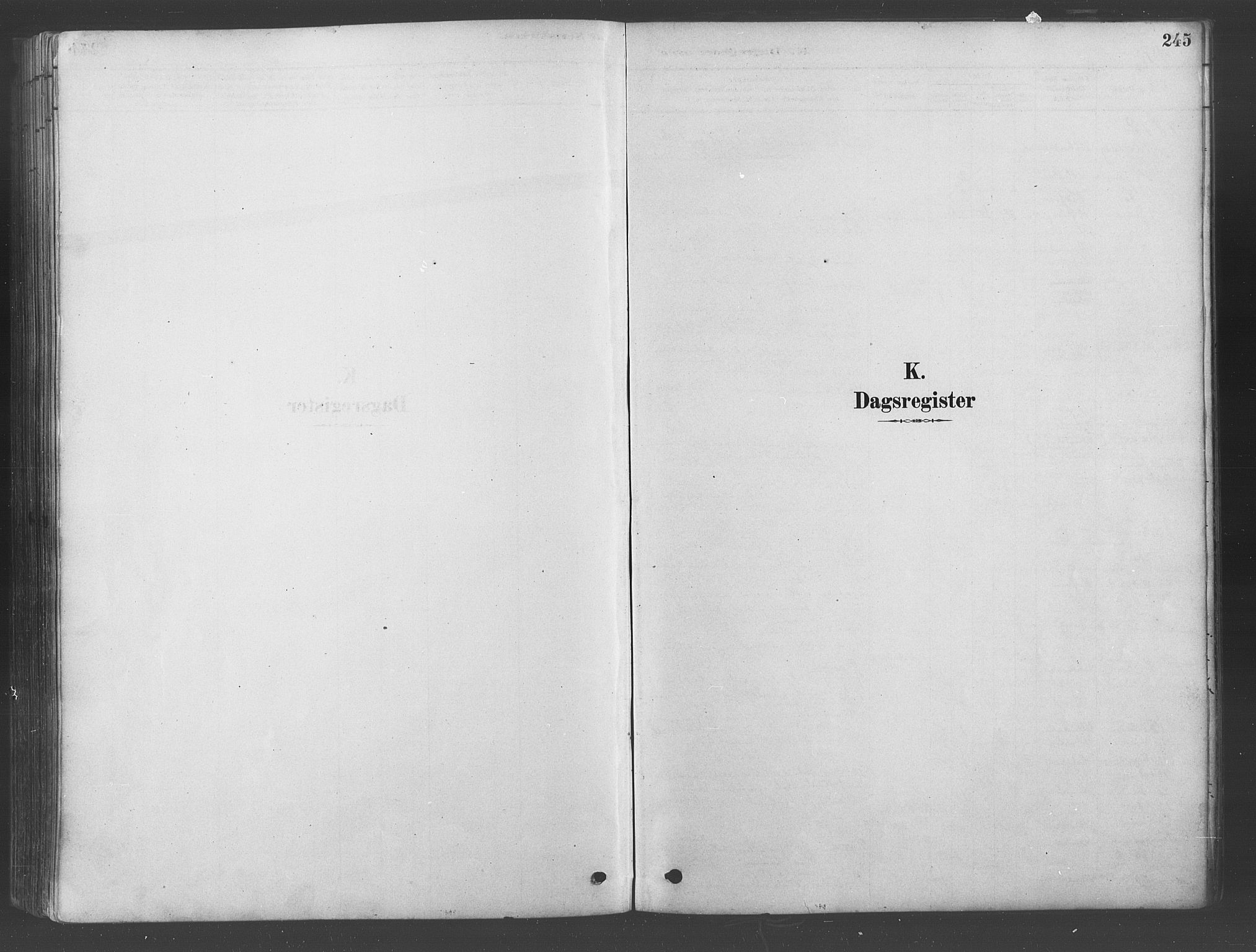 Ullensaker prestekontor Kirkebøker, AV/SAO-A-10236a/F/Fa/L0019: Parish register (official) no. I 19, 1878-1891, p. 245