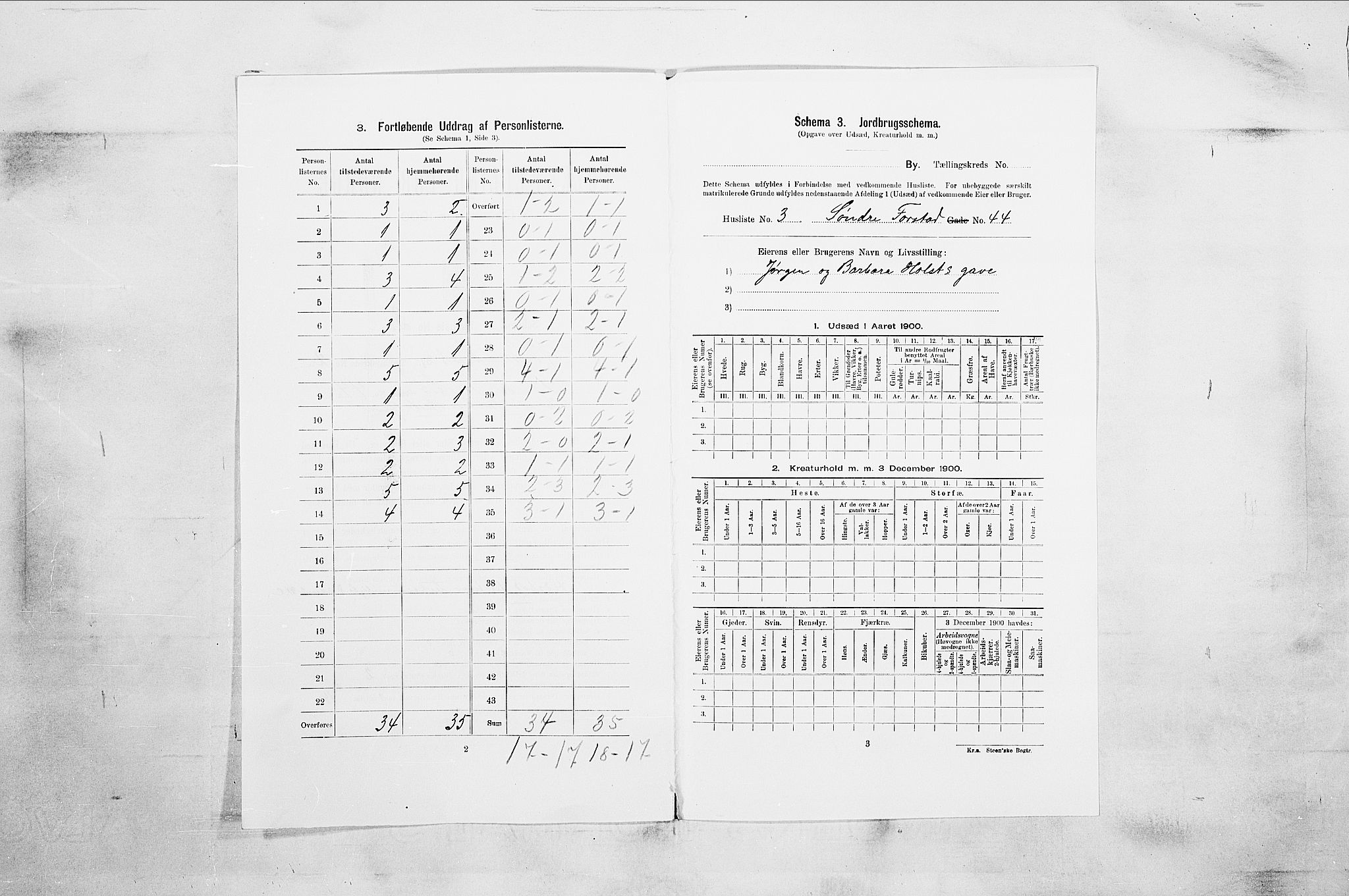 RA, 1900 census for Holmestrand, 1900, p. 456