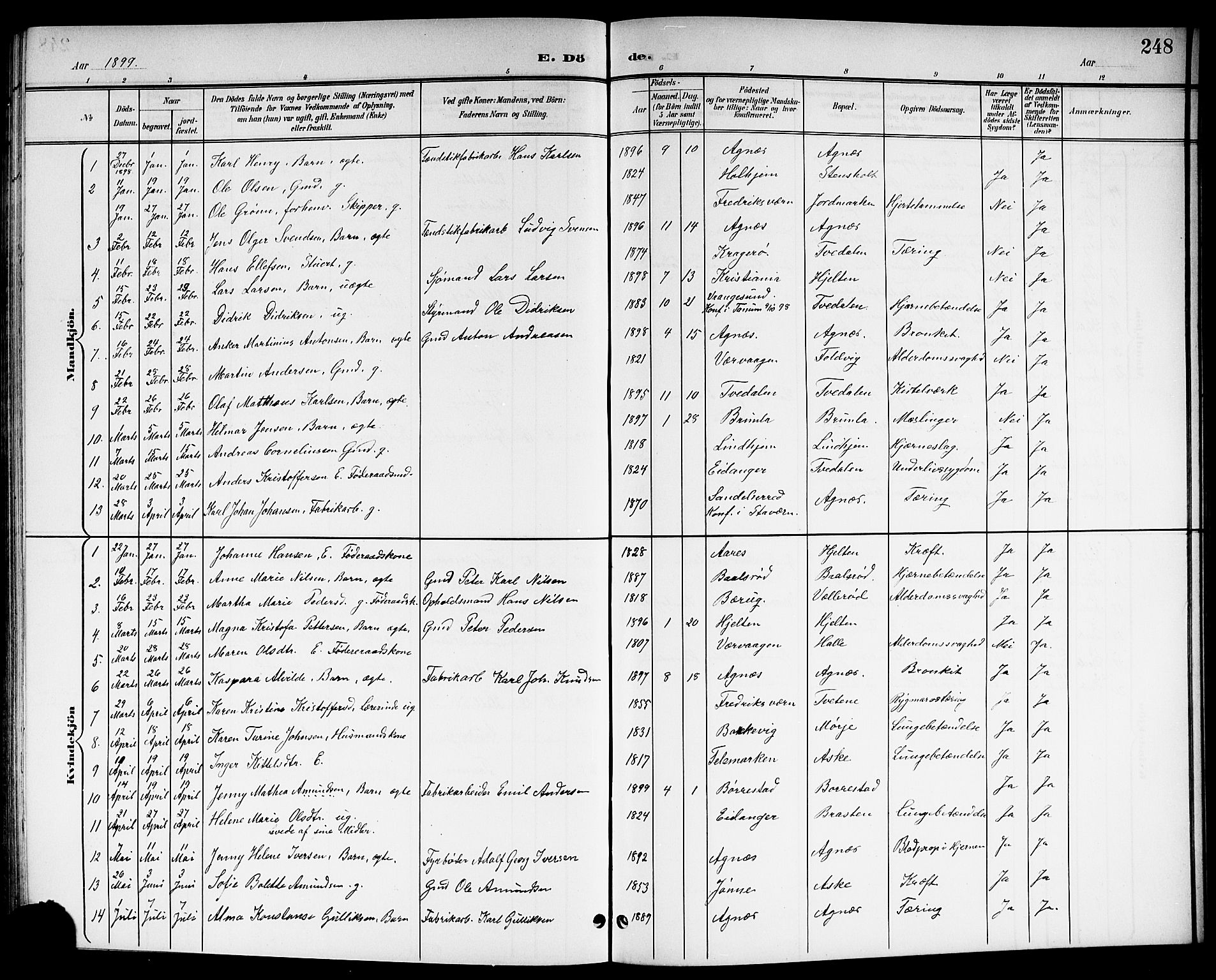 Brunlanes kirkebøker, SAKO/A-342/G/Ga/L0004: Parish register (copy) no. I 4, 1898-1921, p. 248