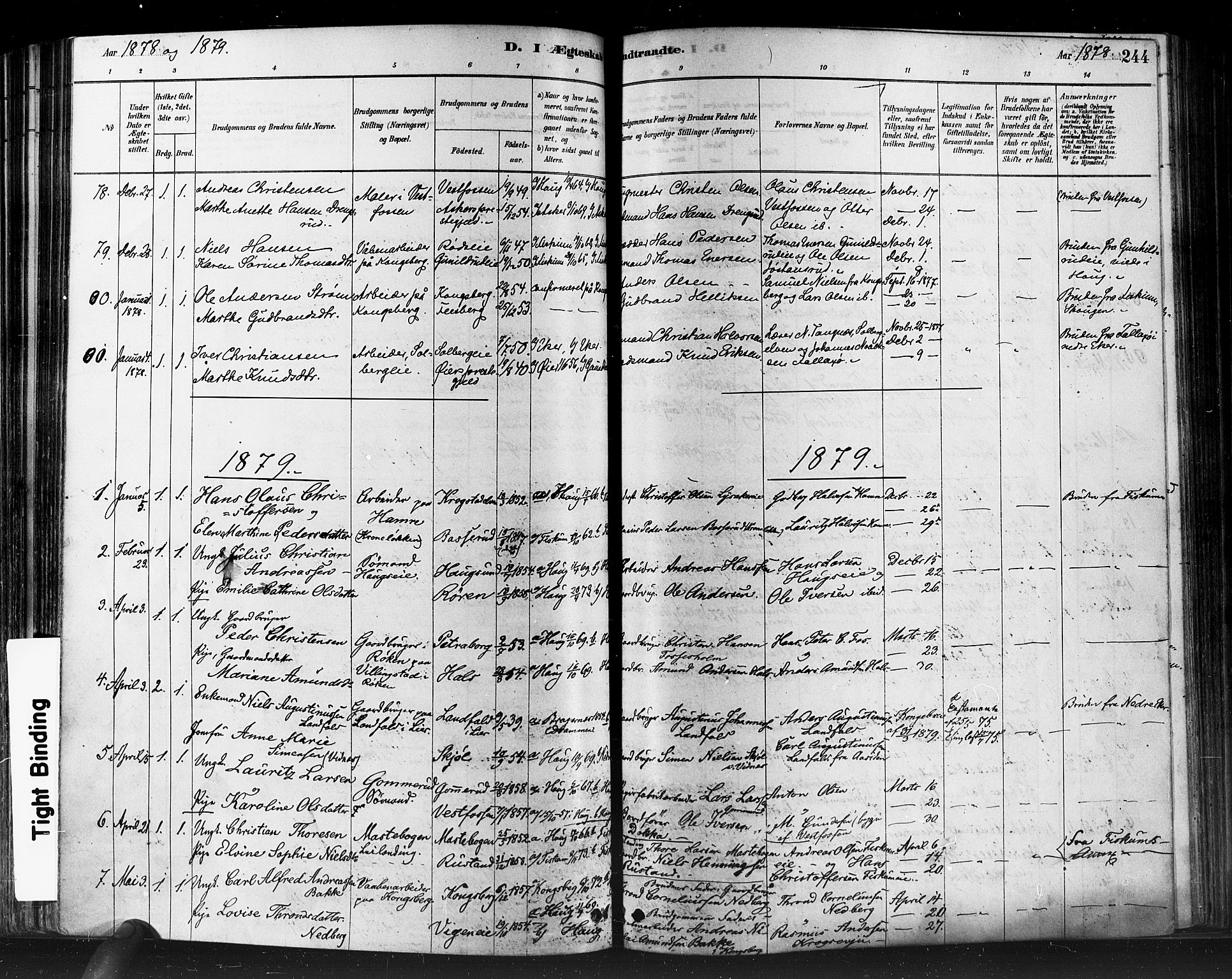 Eiker kirkebøker, SAKO/A-4/F/Fb/L0001: Parish register (official) no. II 1, 1878-1888, p. 244