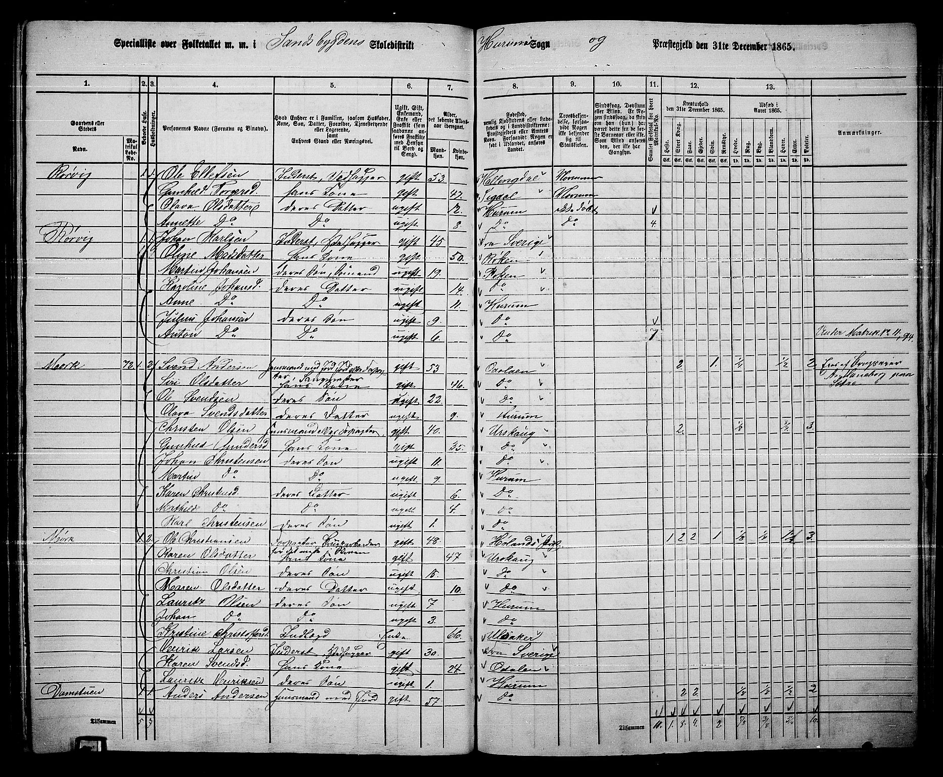 RA, 1865 census for Hurum, 1865, p. 95