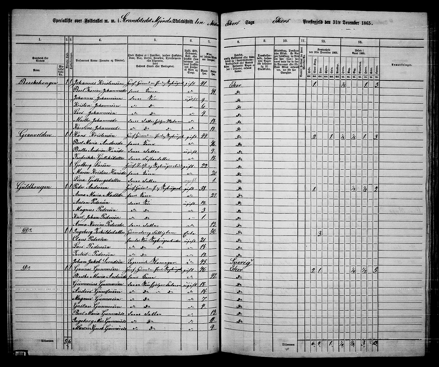 RA, 1865 census for Eiker, 1865, p. 394