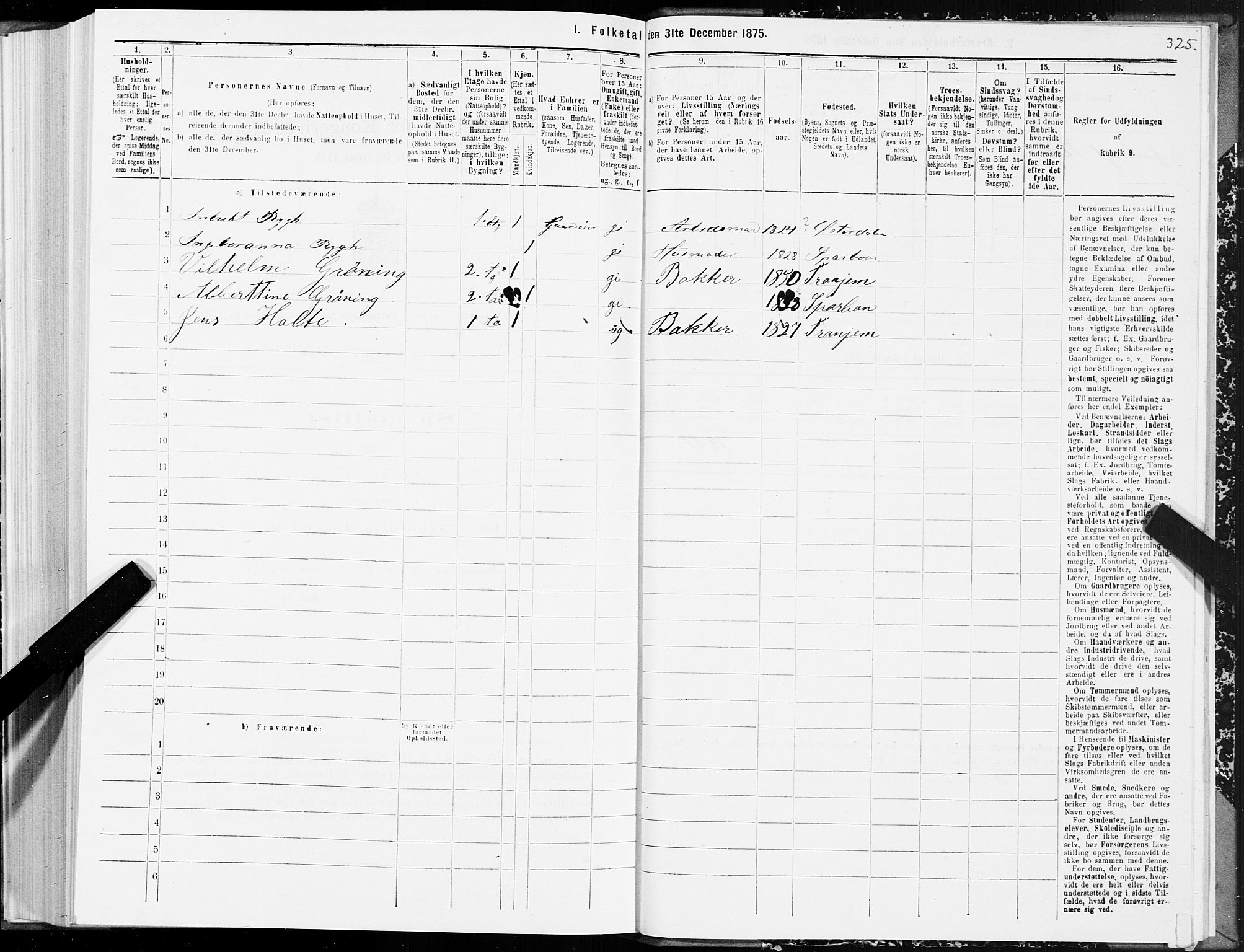 SAT, 1875 census for 1702B Steinkjer/Steinkjer, 1875, p. 325