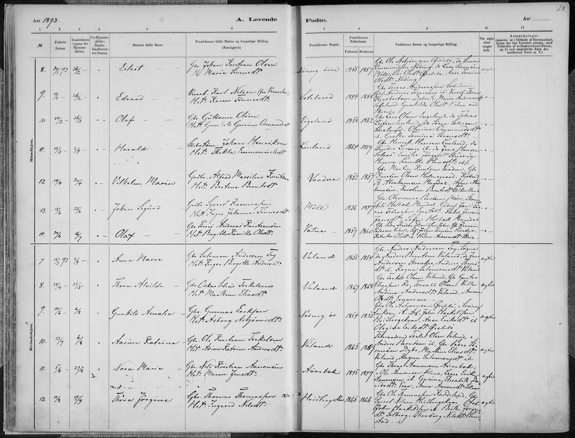 Holum sokneprestkontor, AV/SAK-1111-0022/F/Fa/Faa/L0007: Parish register (official) no. A 7, 1884-1907, p. 28