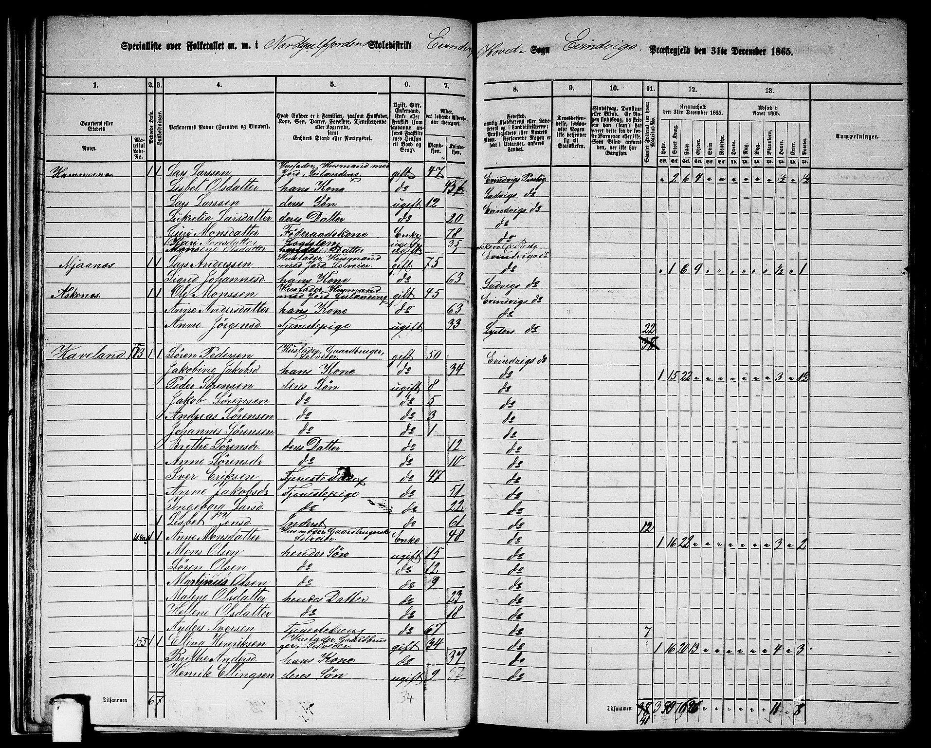 RA, 1865 census for Eivindvik, 1865, p. 28