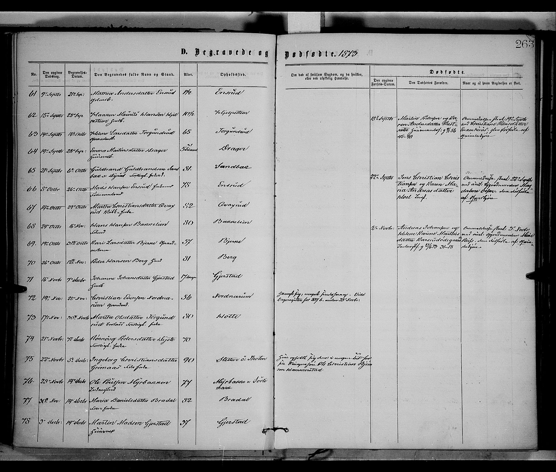 Vestre Toten prestekontor, SAH/PREST-108/H/Ha/Haa/L0008: Parish register (official) no. 8, 1870-1877, p. 263