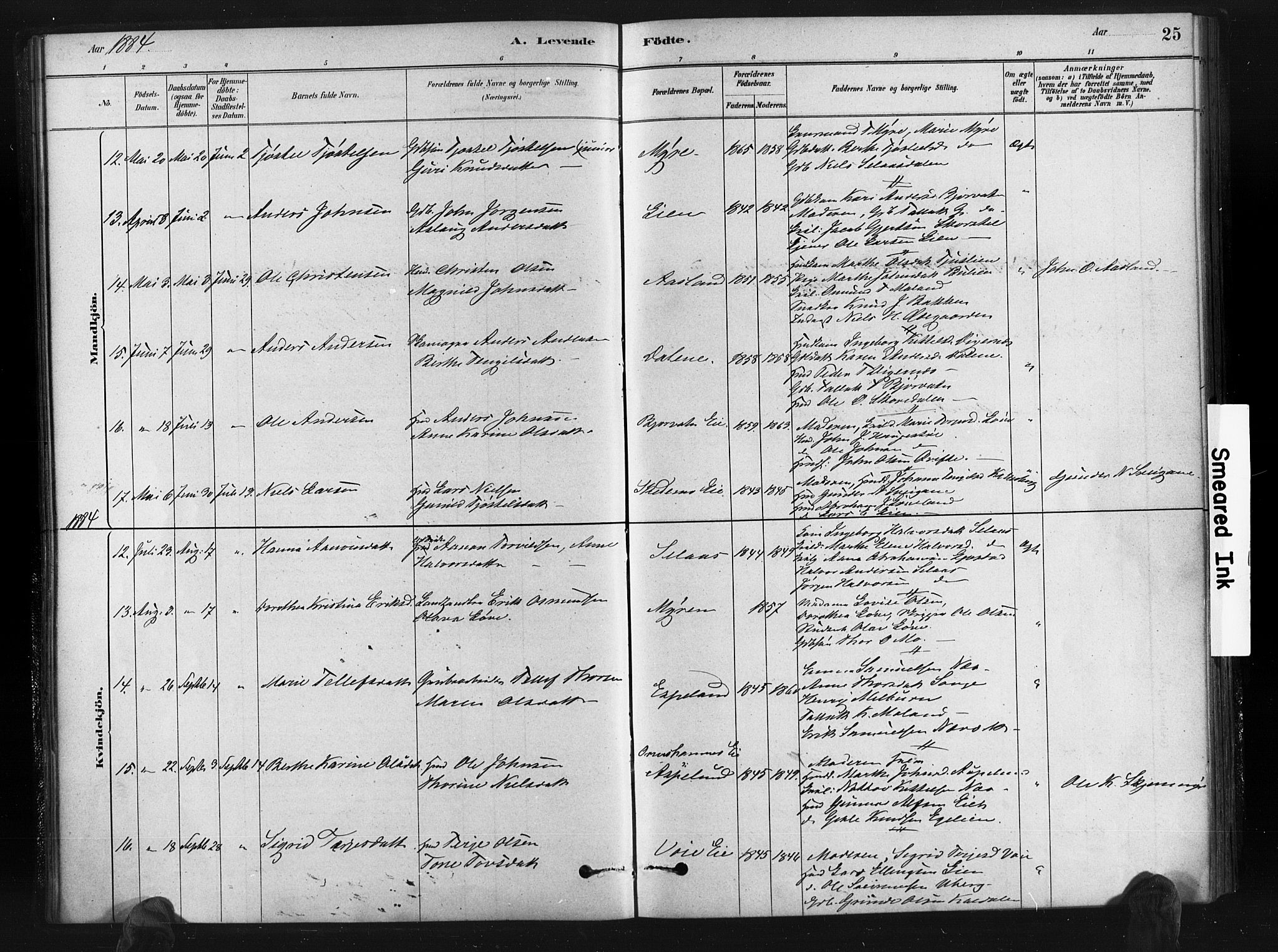 Gjerstad sokneprestkontor, AV/SAK-1111-0014/F/Fa/Fab/L0004: Parish register (official) no. A 4, 1879-1890, p. 25