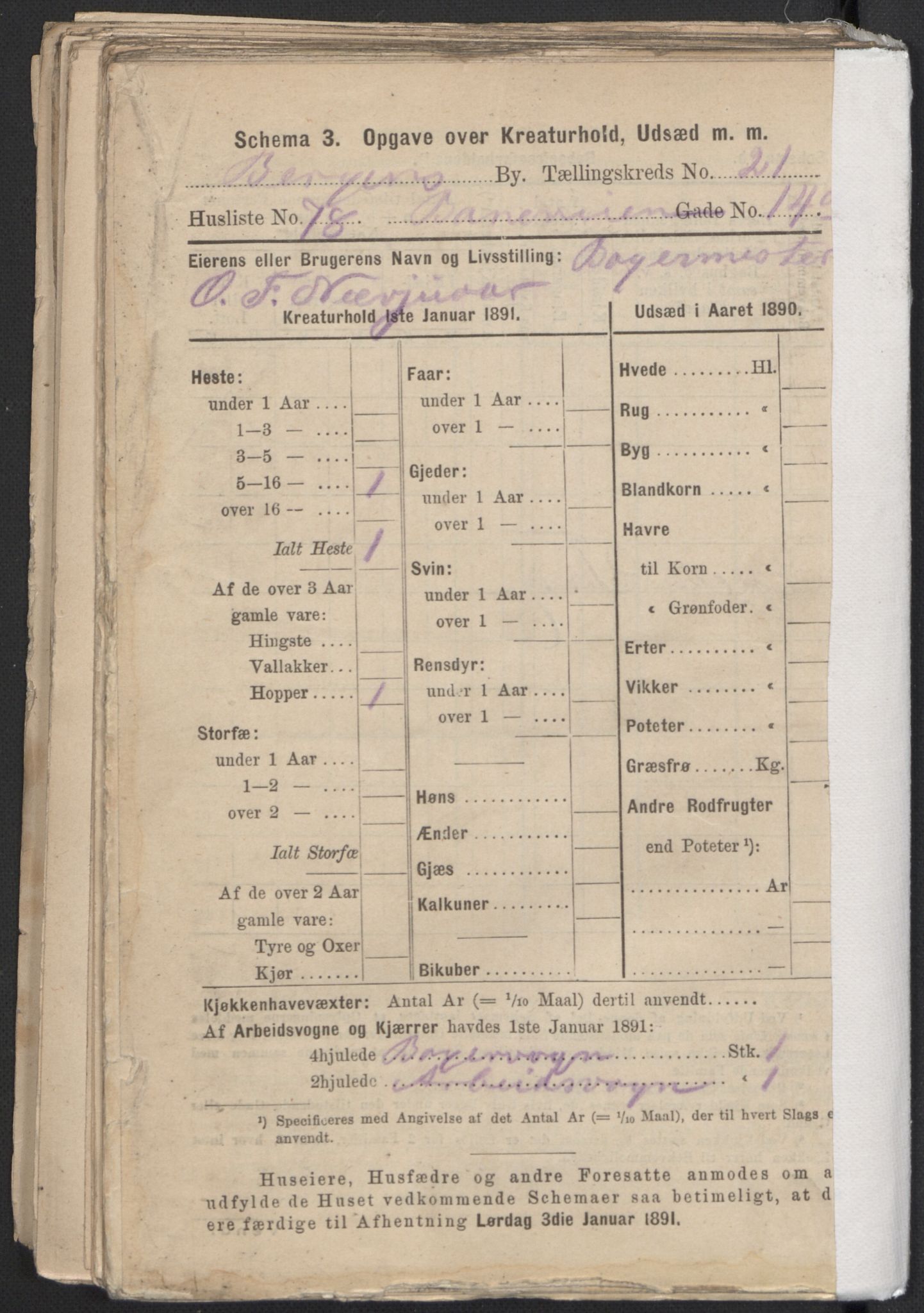 RA, 1891 Census for 1301 Bergen, 1891, p. 3464