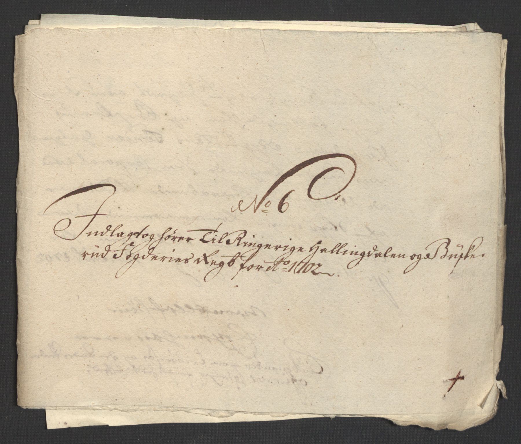 Rentekammeret inntil 1814, Reviderte regnskaper, Fogderegnskap, RA/EA-4092/R22/L1459: Fogderegnskap Ringerike, Hallingdal og Buskerud, 1702, p. 222