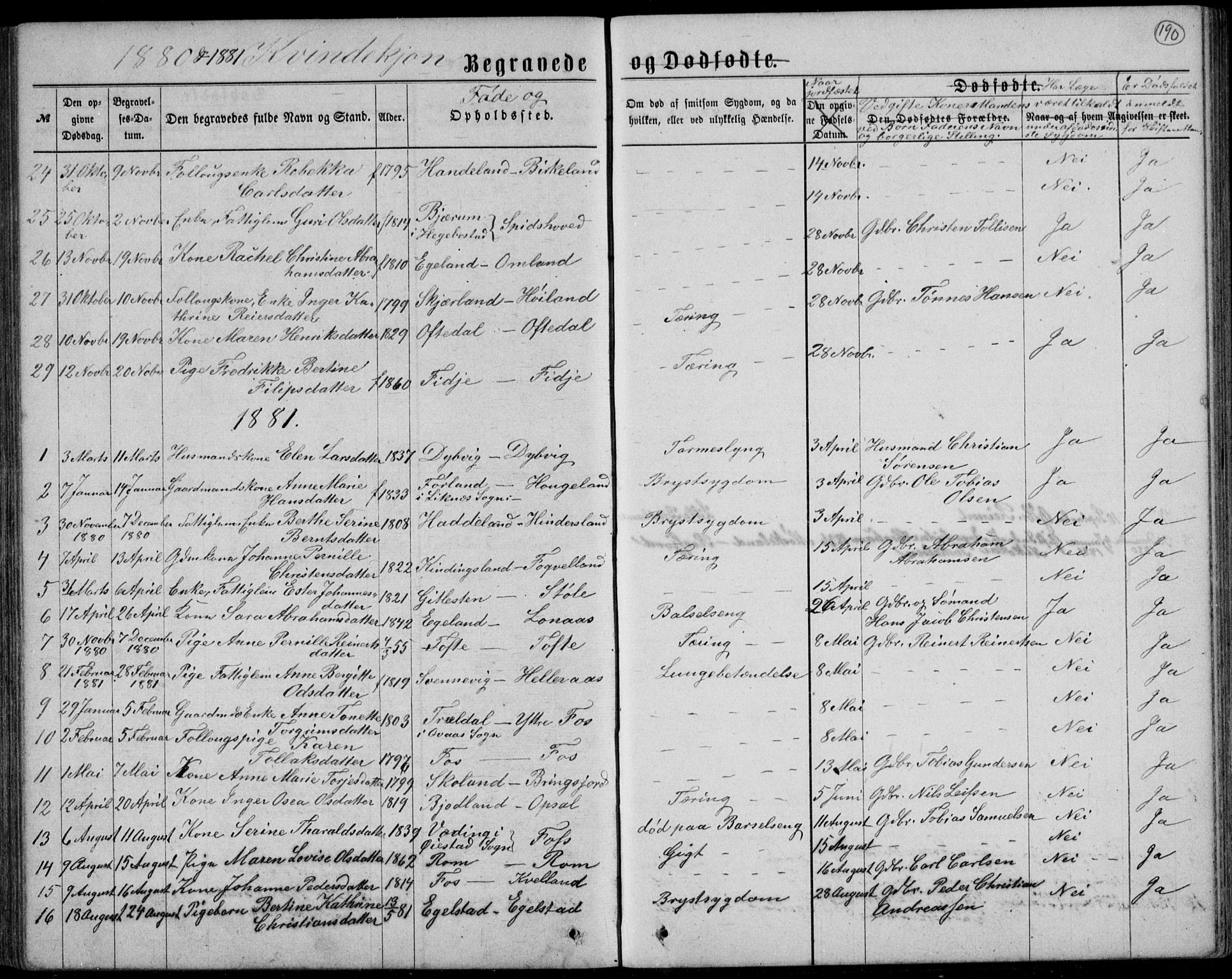 Lyngdal sokneprestkontor, AV/SAK-1111-0029/F/Fb/Fbc/L0004: Parish register (copy) no. B 4, 1878-1896, p. 190