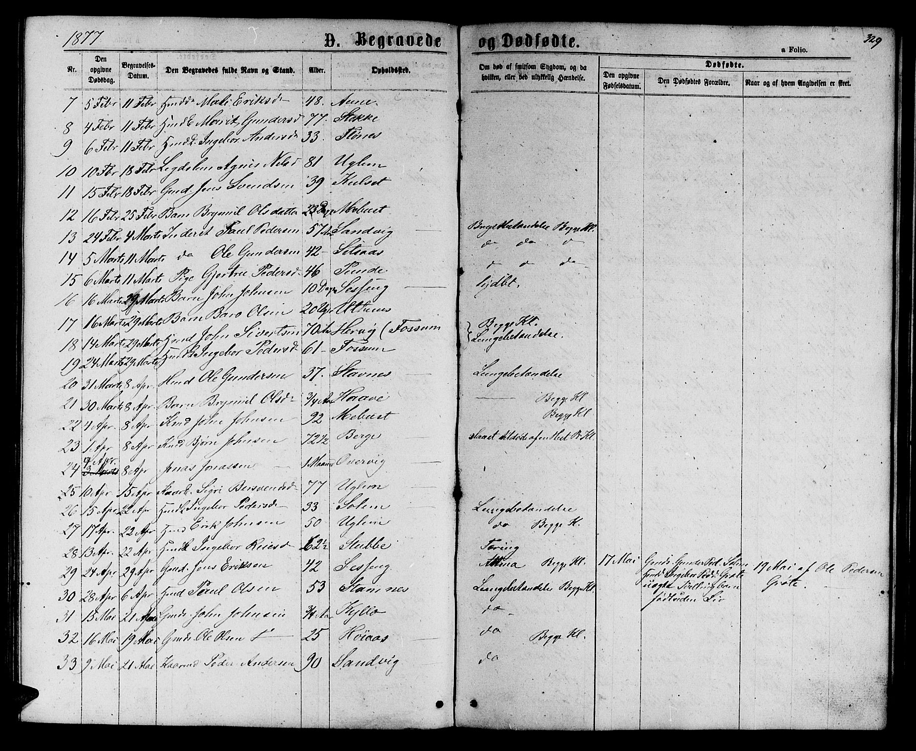 Ministerialprotokoller, klokkerbøker og fødselsregistre - Sør-Trøndelag, SAT/A-1456/695/L1156: Parish register (copy) no. 695C07, 1869-1888, p. 329