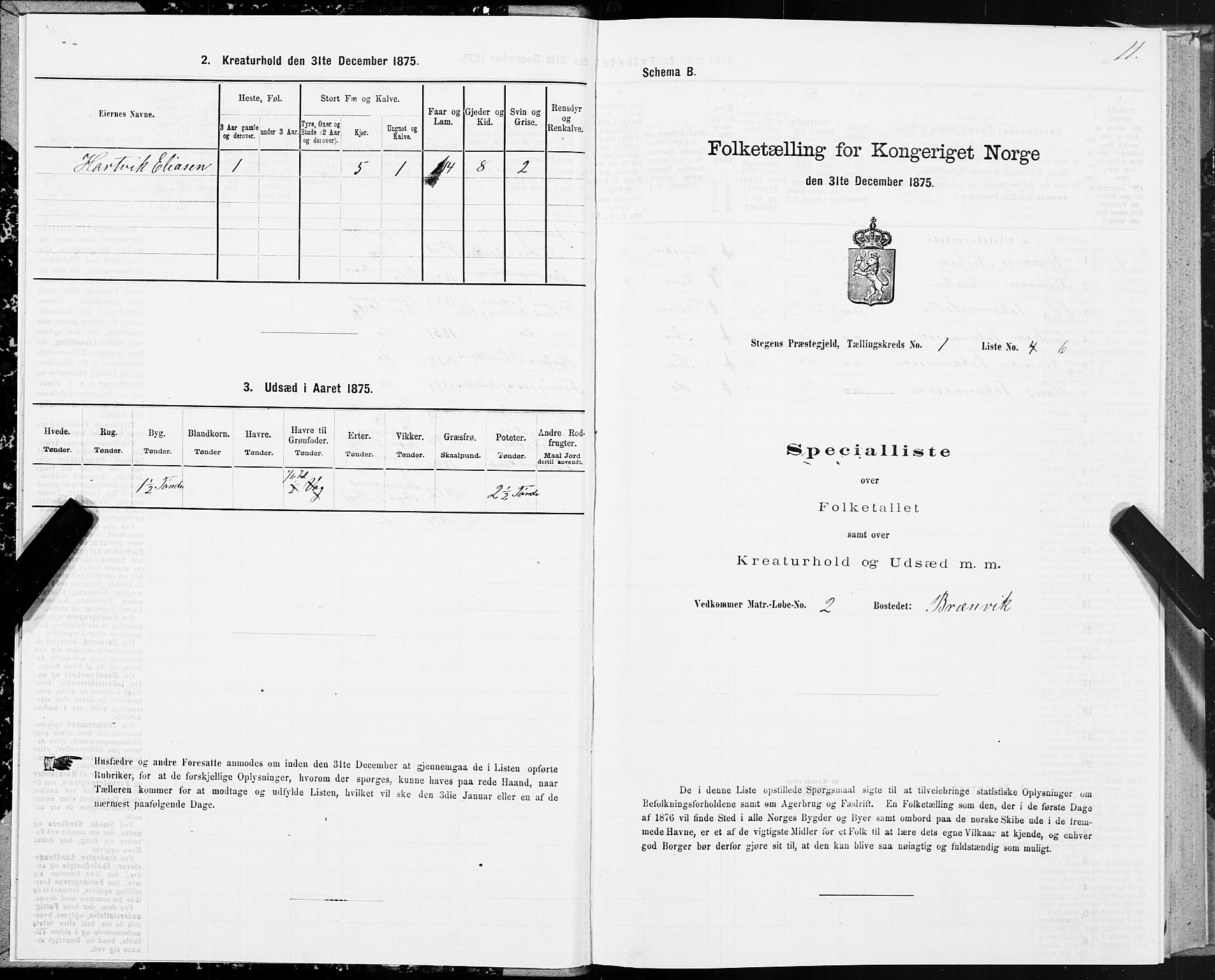 SAT, 1875 census for 1848P Steigen, 1875, p. 1011