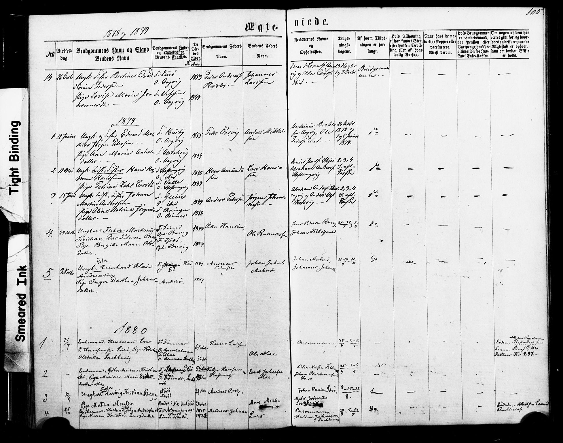 Ministerialprotokoller, klokkerbøker og fødselsregistre - Nordland, SAT/A-1459/835/L0524: Parish register (official) no. 835A02, 1865-1880, p. 105