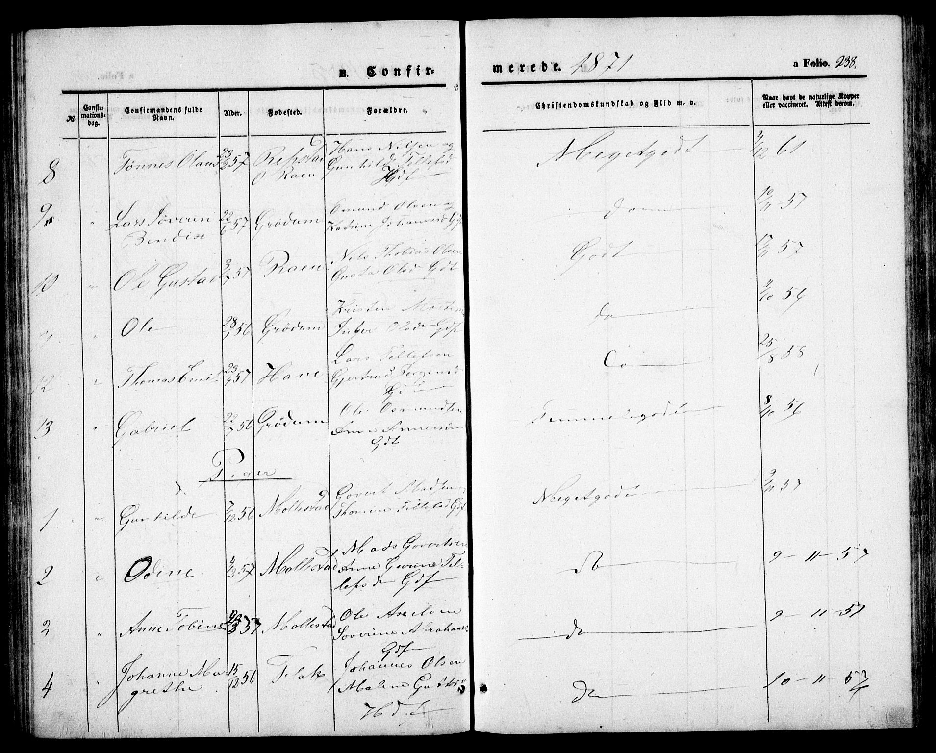 Birkenes sokneprestkontor, SAK/1111-0004/F/Fb/L0002: Parish register (copy) no. B 2, 1849-1876, p. 238