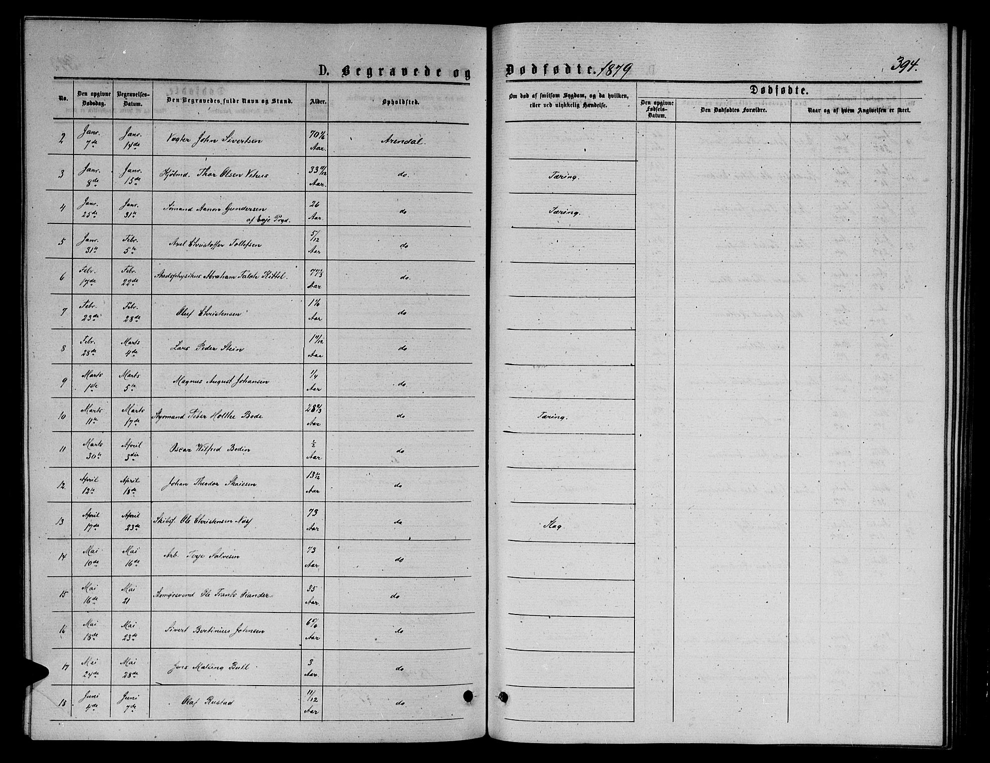 Arendal sokneprestkontor, Trefoldighet, AV/SAK-1111-0040/F/Fb/L0005: Parish register (copy) no. B 5, 1874-1888, p. 394