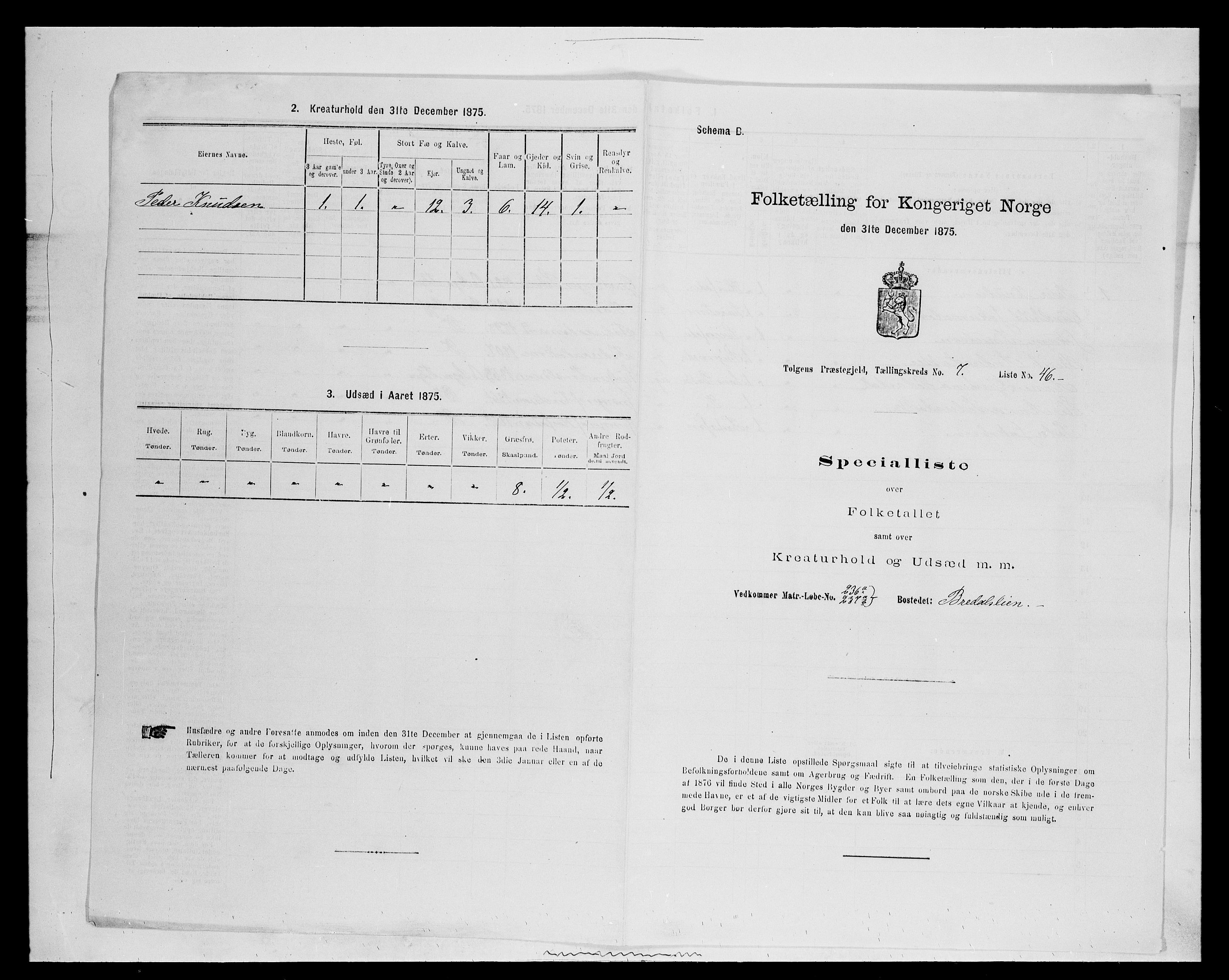 SAH, 1875 census for 0436P Tolga, 1875, p. 785