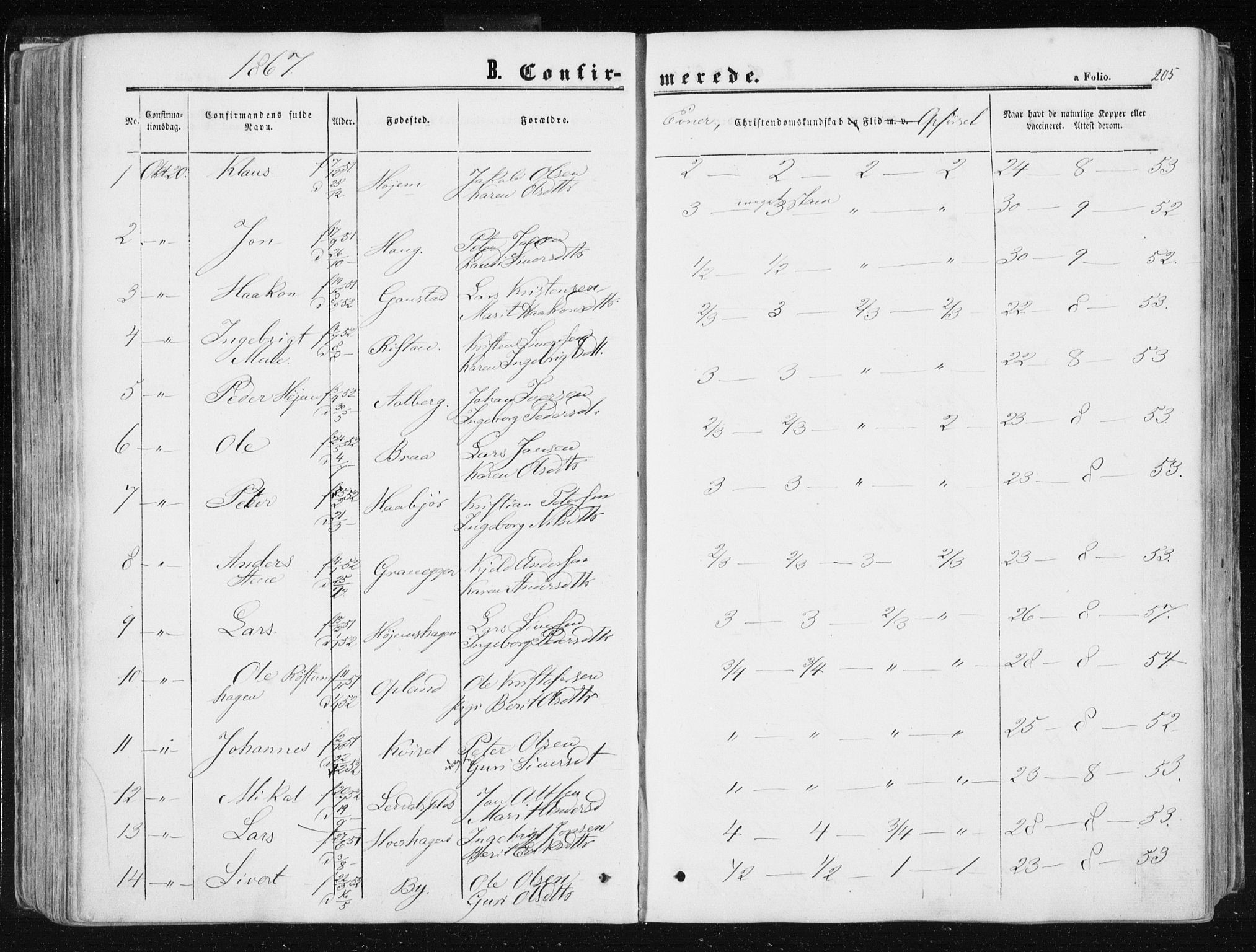 Ministerialprotokoller, klokkerbøker og fødselsregistre - Sør-Trøndelag, SAT/A-1456/612/L0377: Parish register (official) no. 612A09, 1859-1877, p. 205
