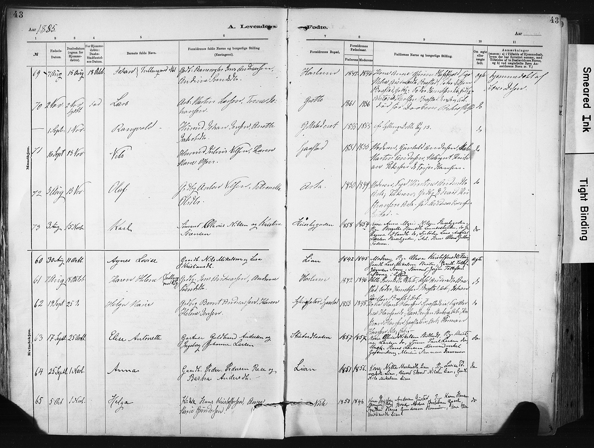 Lier kirkebøker, AV/SAKO-A-230/F/Fa/L0015: Parish register (official) no. I 15, 1883-1894, p. 43