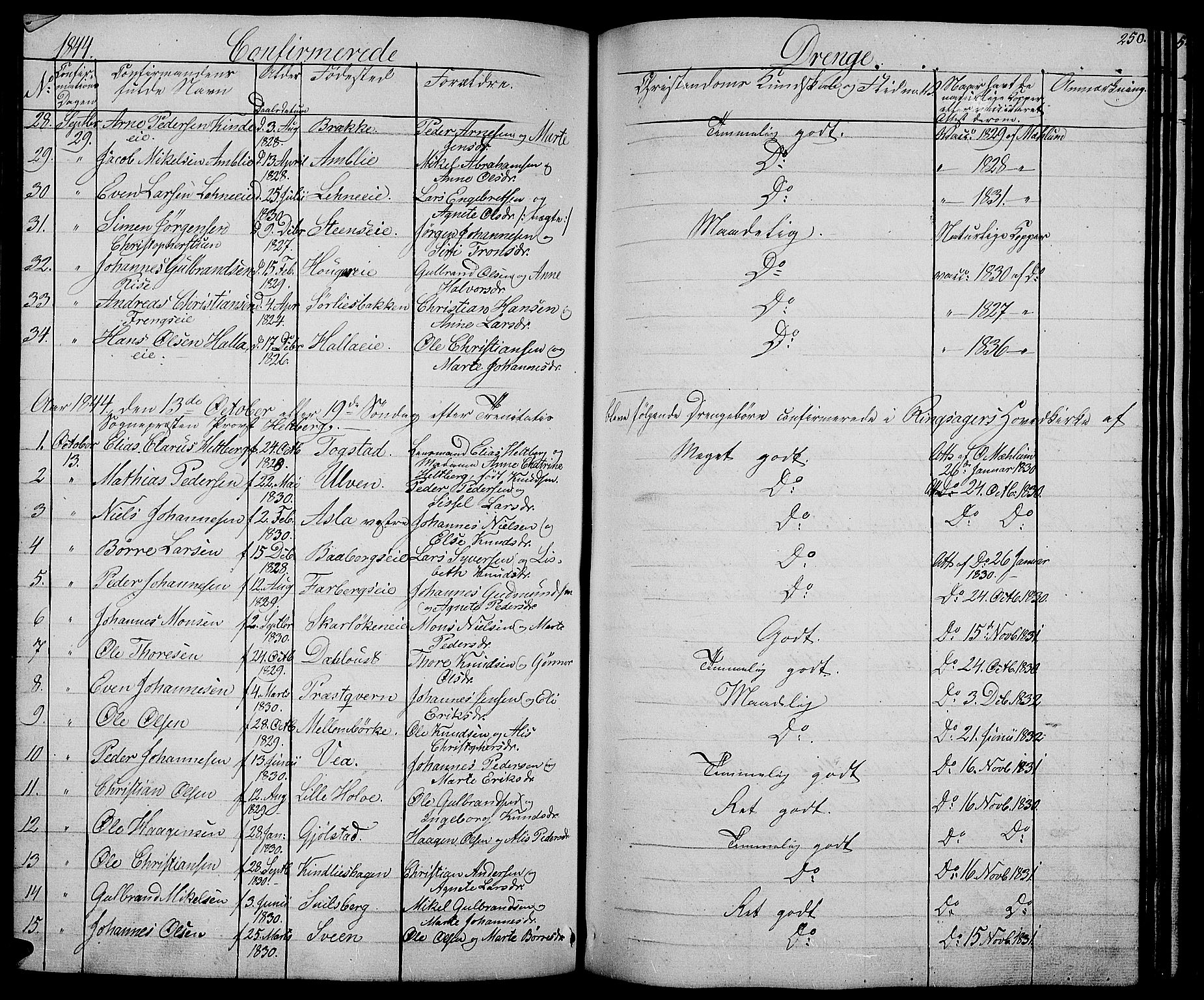 Ringsaker prestekontor, AV/SAH-PREST-014/L/La/L0005: Parish register (copy) no. 5, 1839-1850, p. 250