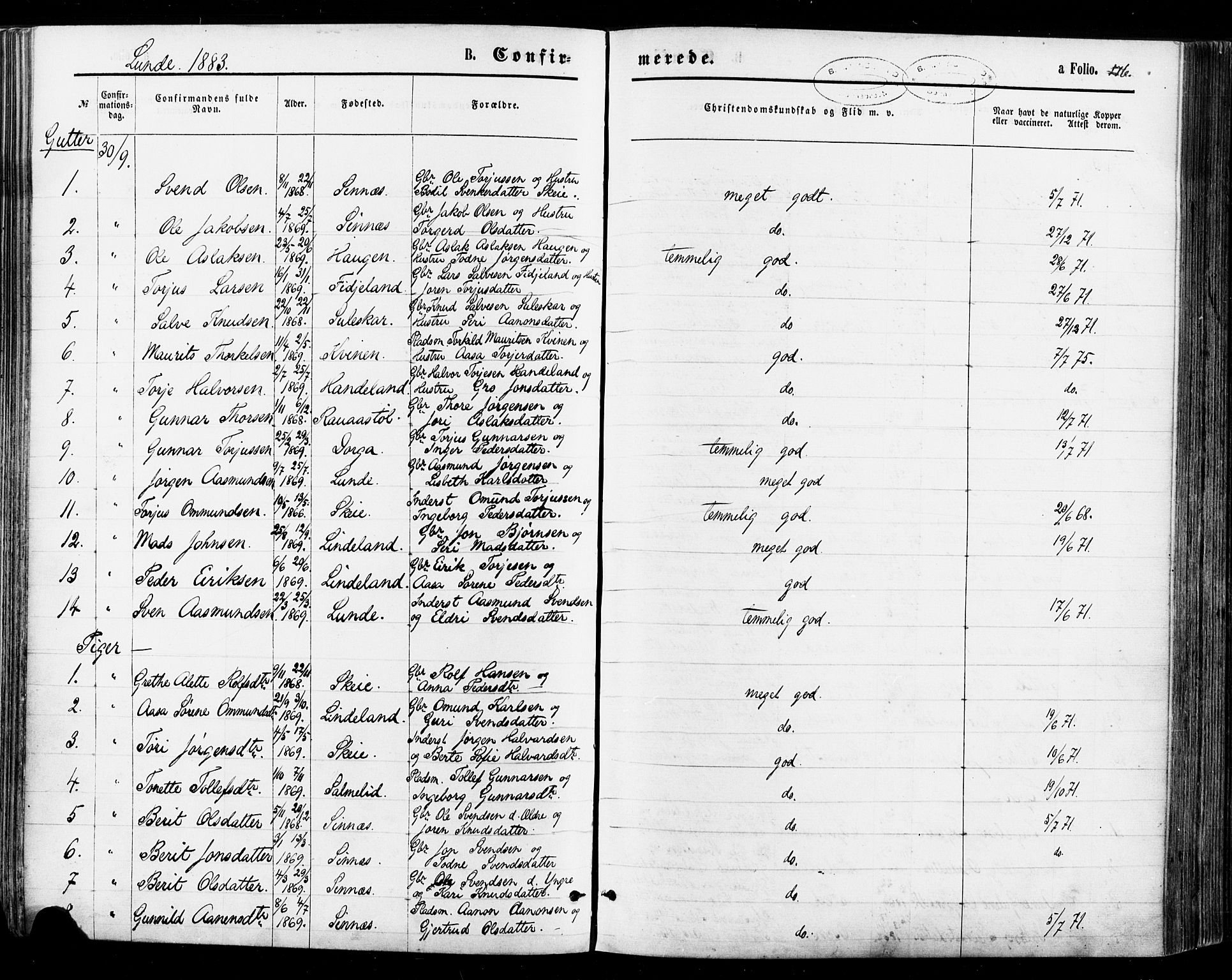 Sirdal sokneprestkontor, AV/SAK-1111-0036/F/Fa/Fab/L0003: Parish register (official) no. A 3, 1874-1886, p. 176