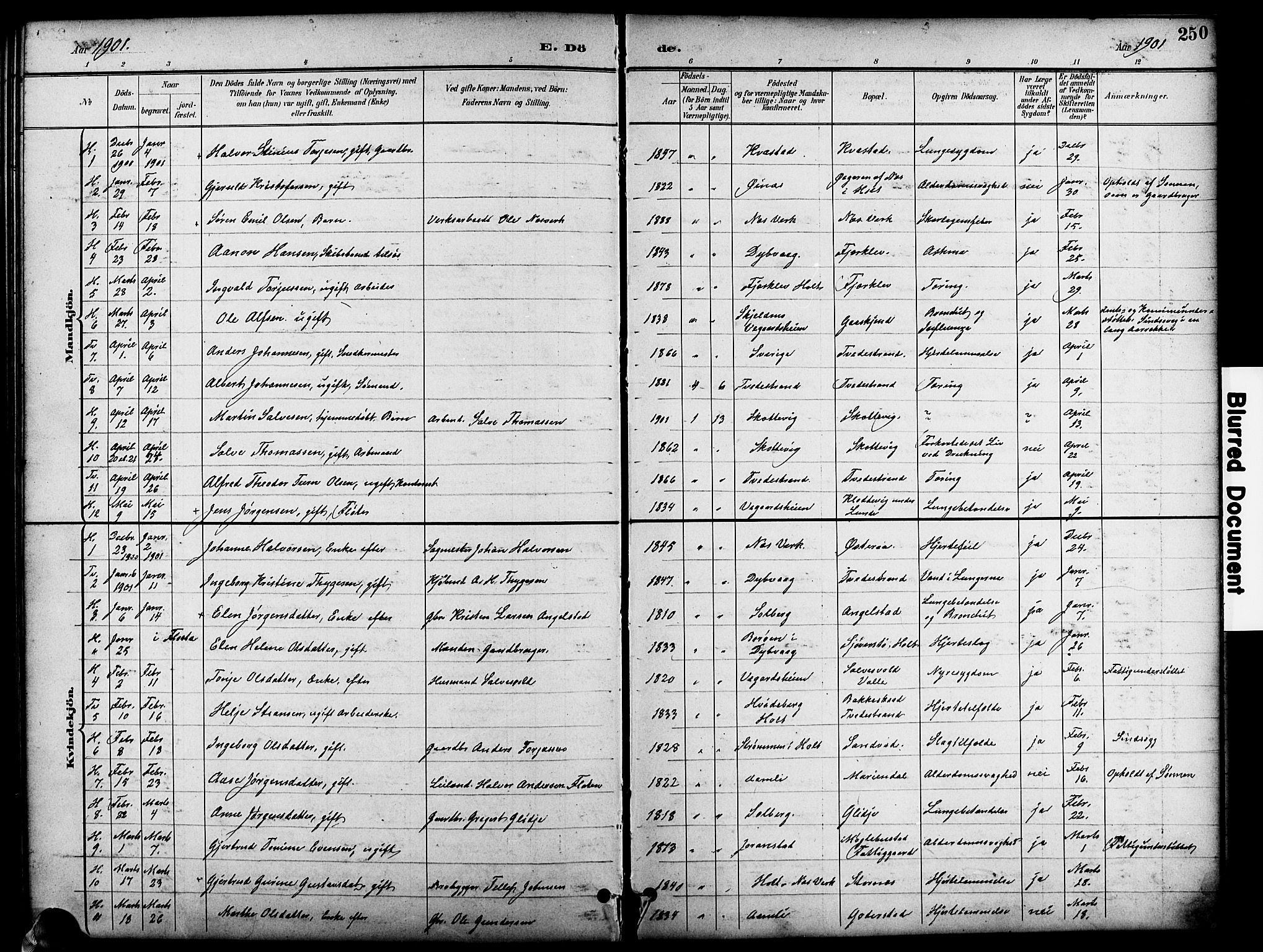 Holt sokneprestkontor, SAK/1111-0021/F/Fb/L0011: Parish register (copy) no. B 11, 1897-1921, p. 250