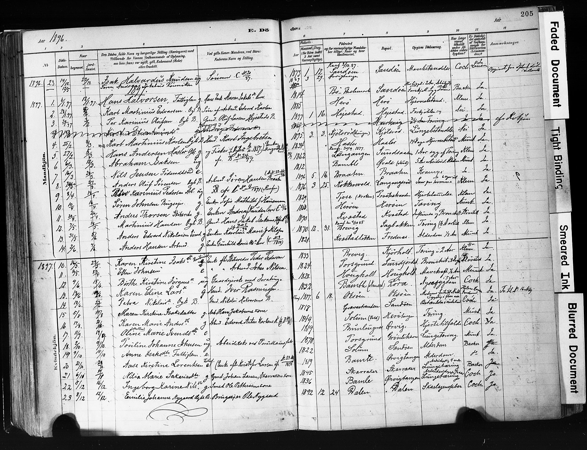 Eidanger kirkebøker, AV/SAKO-A-261/F/Fa/L0012: Parish register (official) no. 12, 1879-1900, p. 205