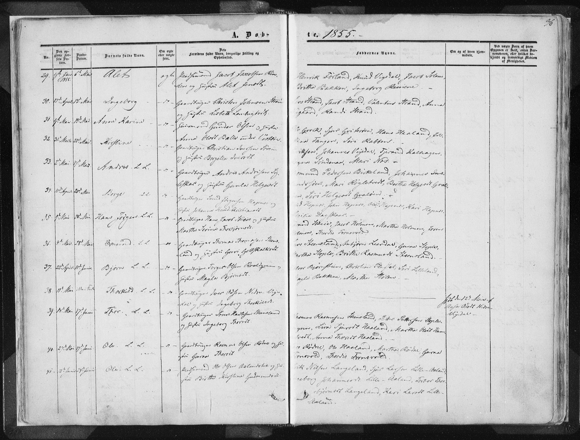 Vikedal sokneprestkontor, AV/SAST-A-101840/01/IV: Parish register (official) no. A 6.1, 1851-1867, p. 36