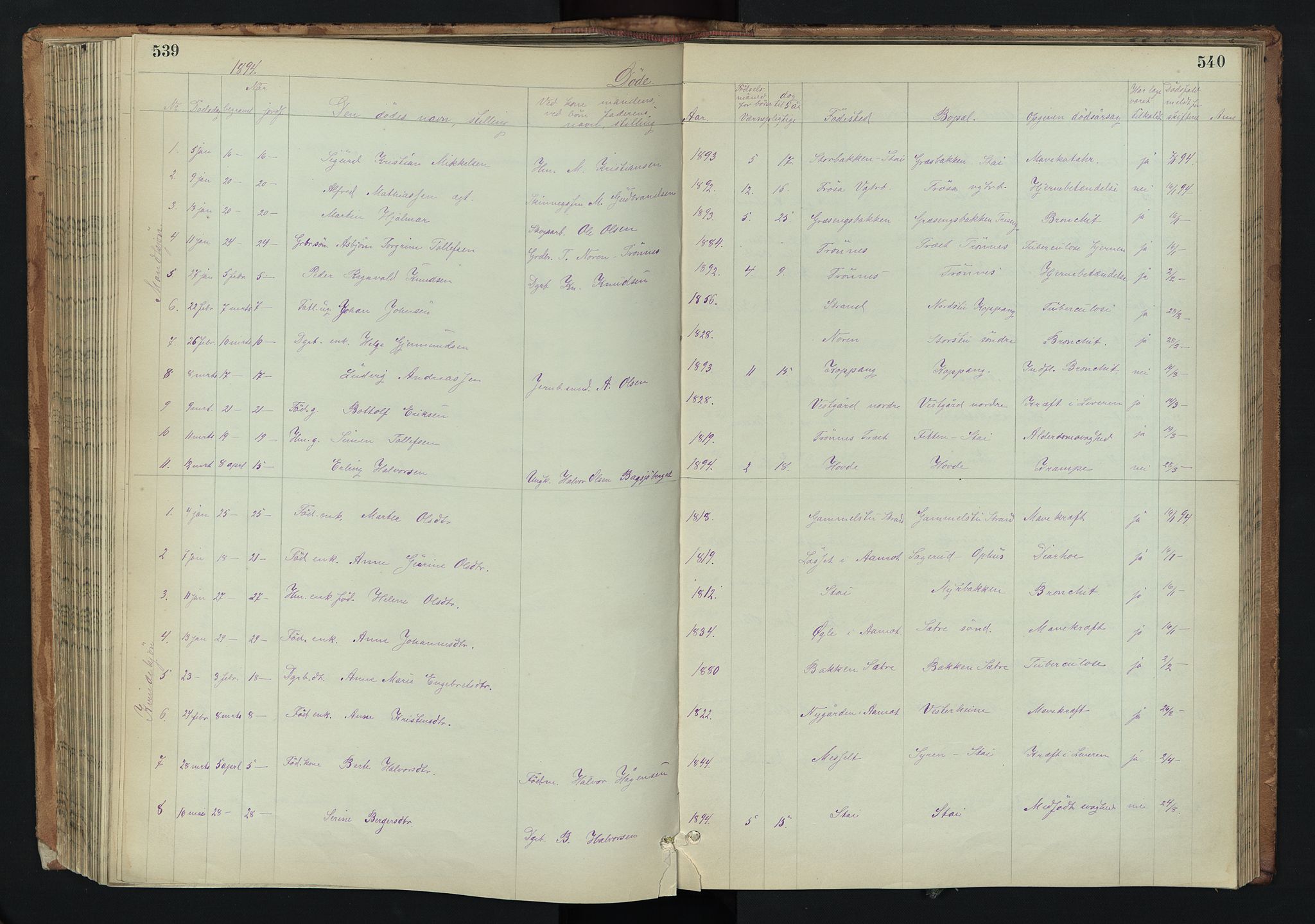 Stor-Elvdal prestekontor, AV/SAH-PREST-052/H/Ha/Hab/L0002: Parish register (copy) no. 2, 1860-1894, p. 539-540