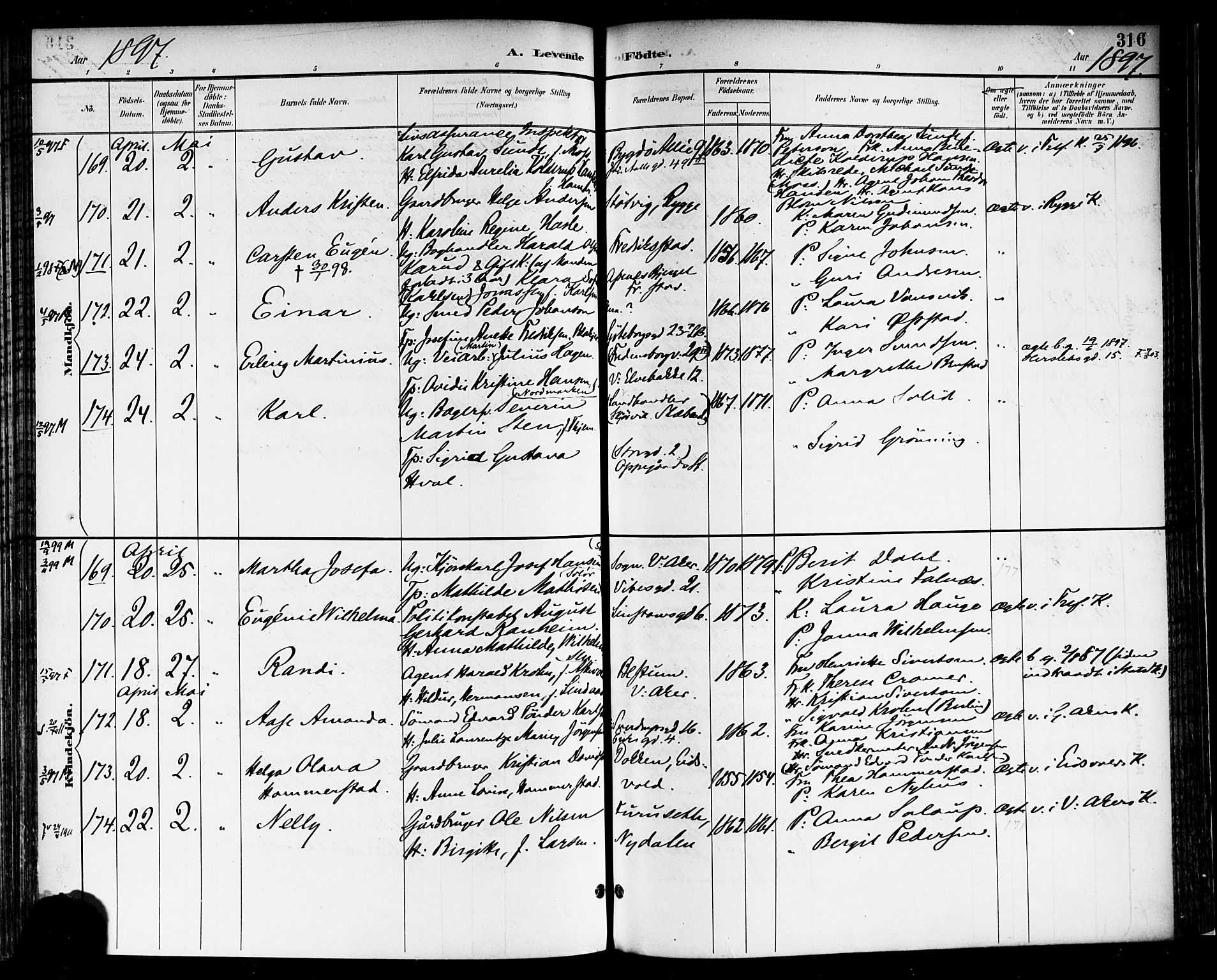 Rikshospitalet prestekontor Kirkebøker, AV/SAO-A-10309b/F/L0009: Parish register (official) no. 9, 1894-1897, p. 316