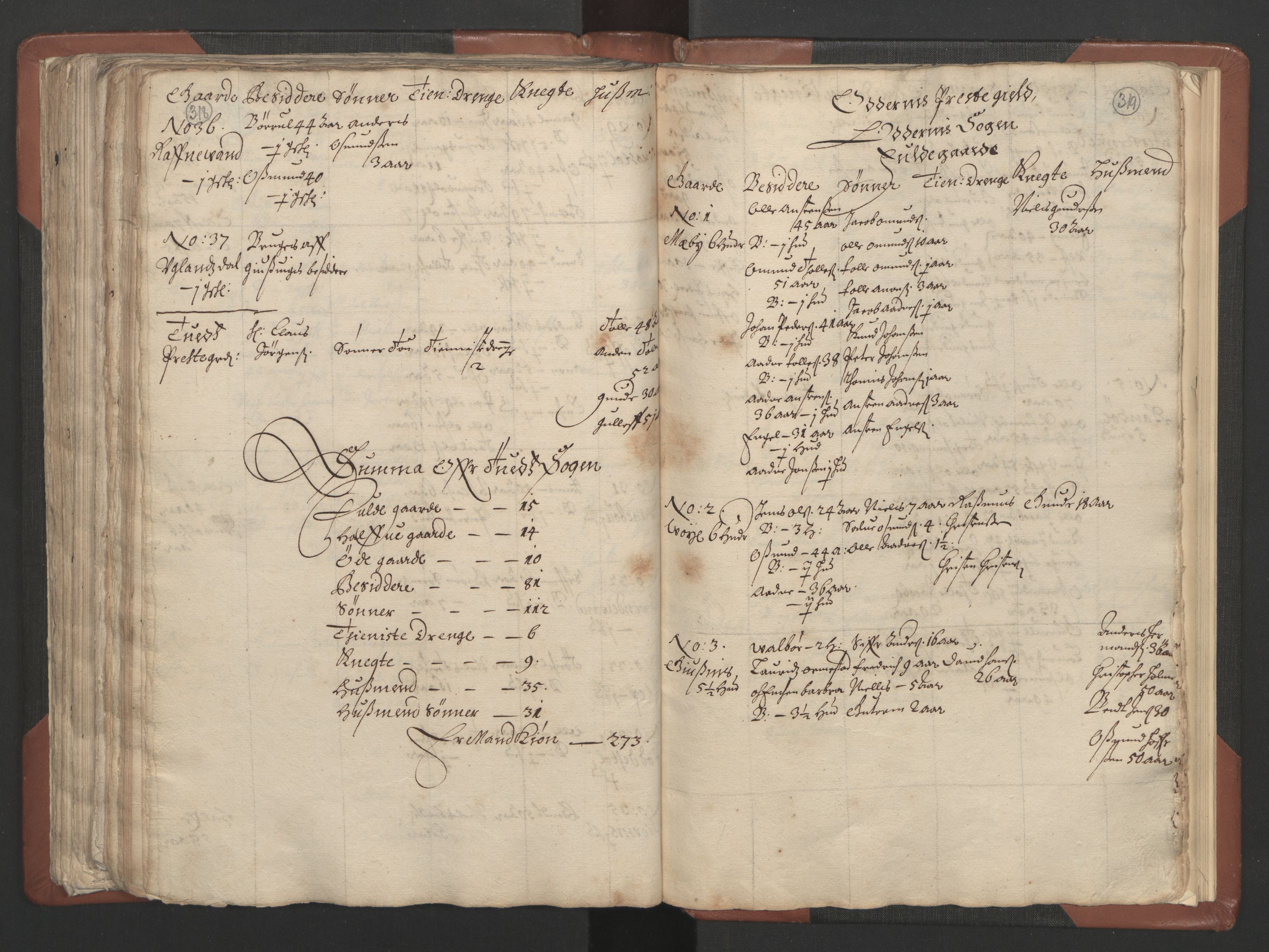 RA, Bailiff's Census 1664-1666, no. 9: Mandal len, 1664-1666, p. 318-319