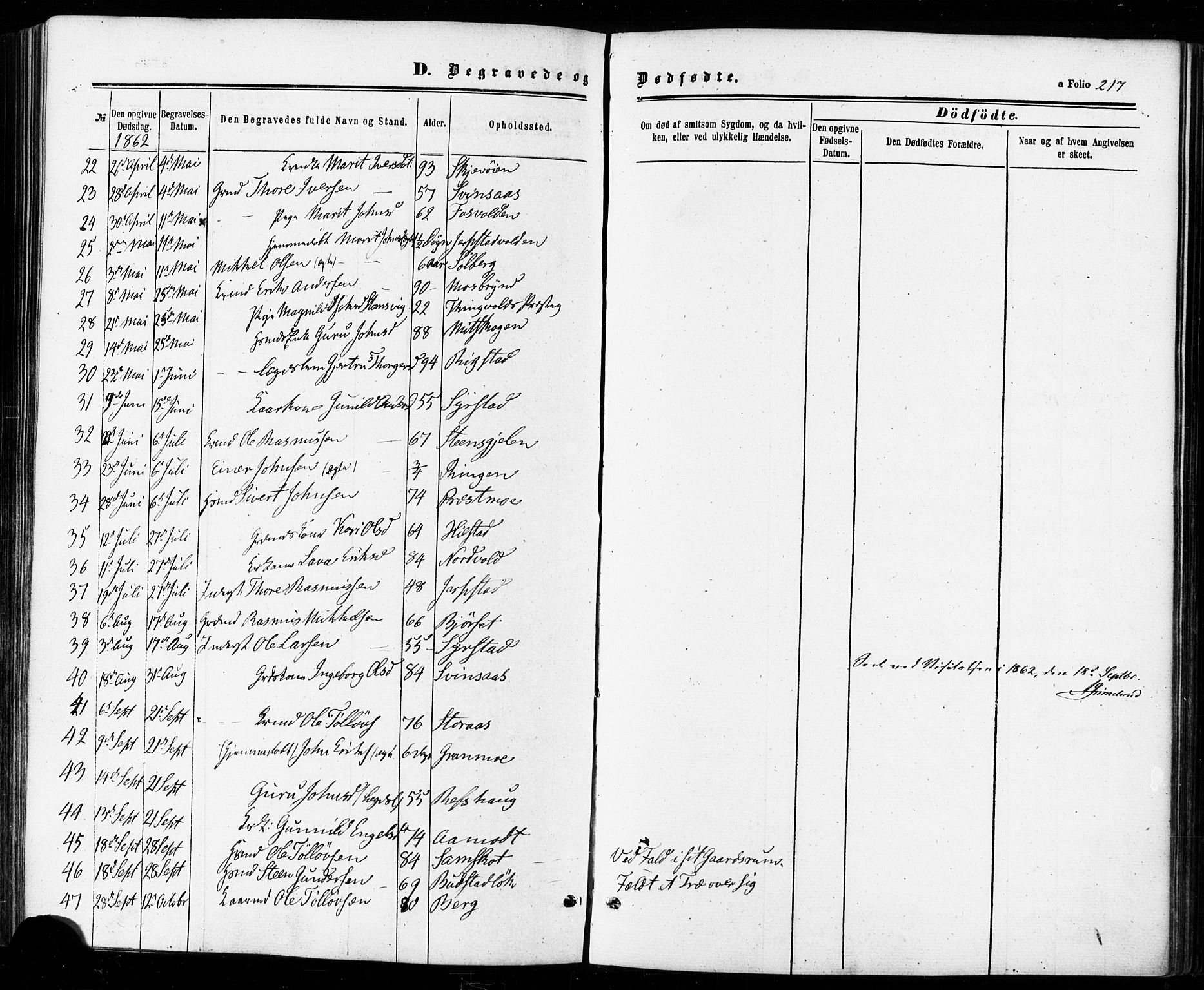 Ministerialprotokoller, klokkerbøker og fødselsregistre - Sør-Trøndelag, SAT/A-1456/672/L0856: Parish register (official) no. 672A08, 1861-1881, p. 217