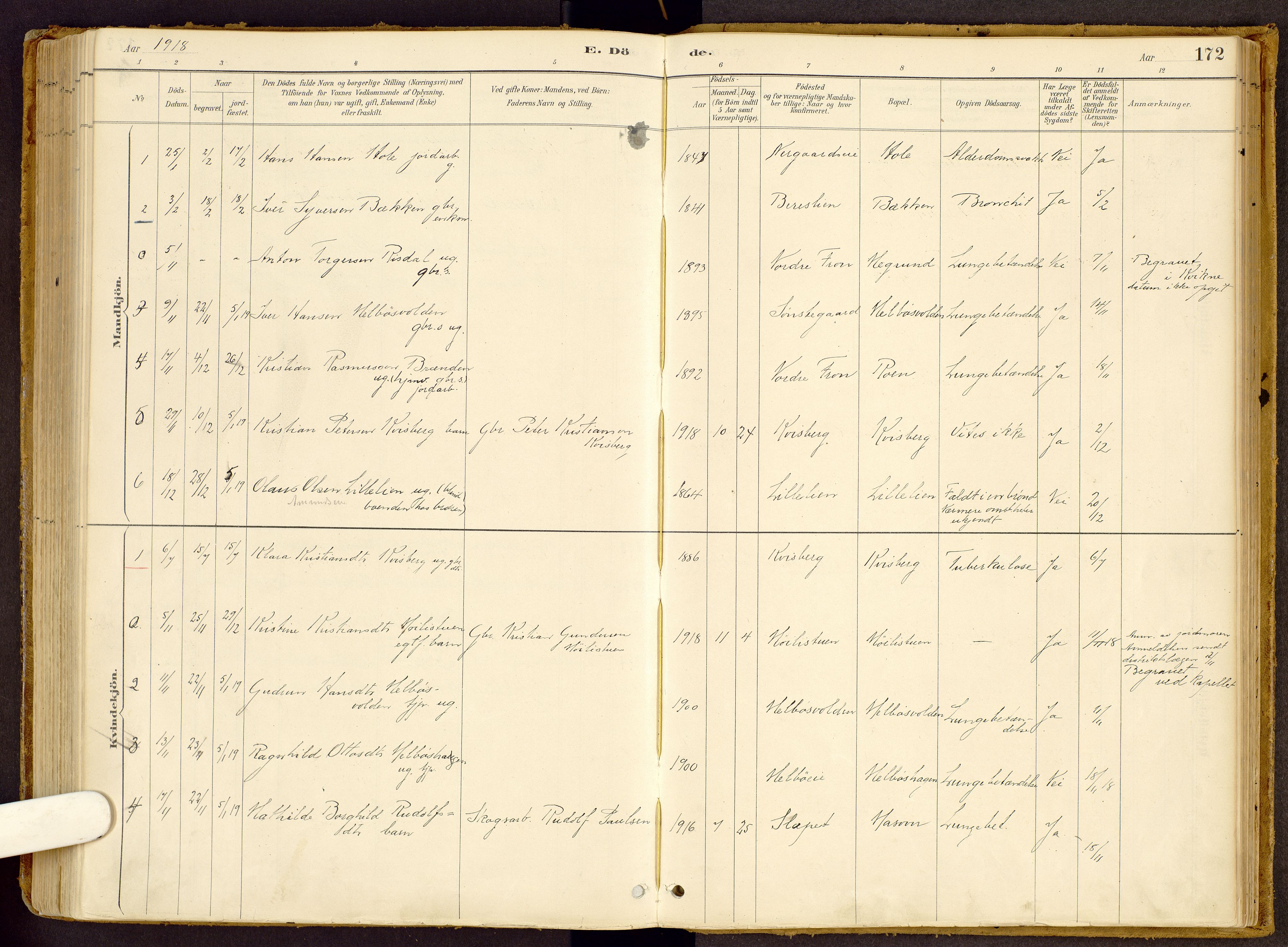 Vestre Gausdal prestekontor, SAH/PREST-094/H/Ha/Haa/L0002: Parish register (official) no. 2, 1887-1918, p. 172