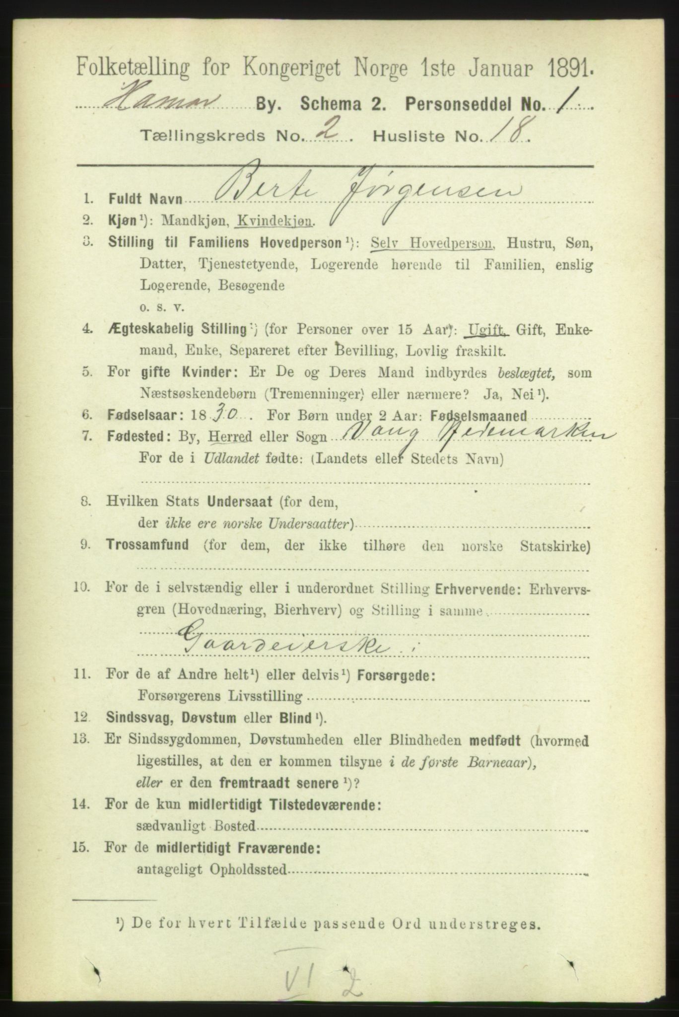 RA, 1891 census for 0401 Hamar, 1891, p. 1229