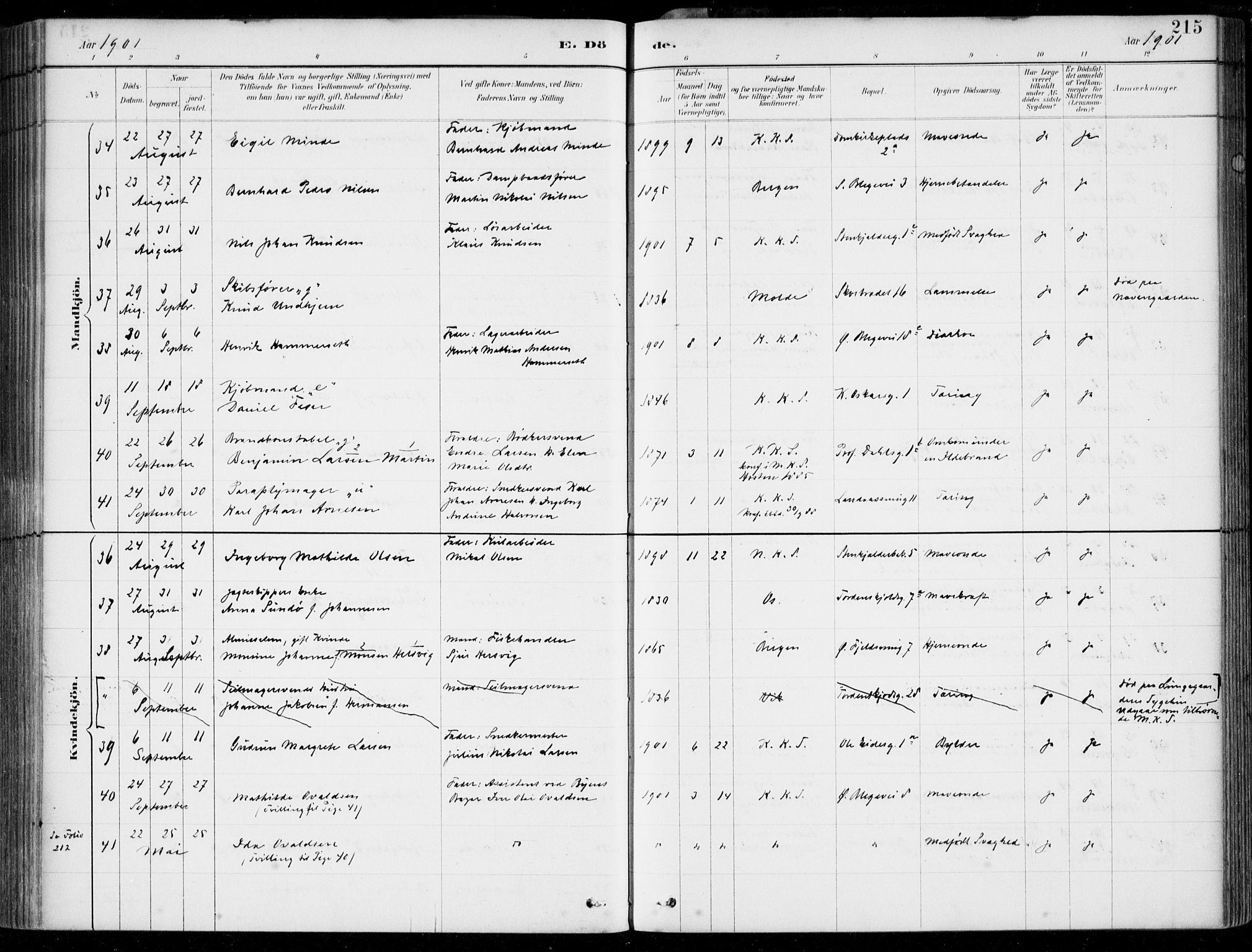 Korskirken sokneprestembete, SAB/A-76101/H/Hab: Parish register (copy) no. E 4, 1884-1910, p. 215