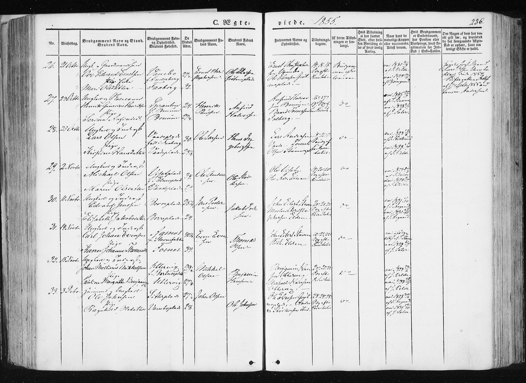 Ministerialprotokoller, klokkerbøker og fødselsregistre - Nord-Trøndelag, SAT/A-1458/741/L0393: Parish register (official) no. 741A07, 1849-1863, p. 236