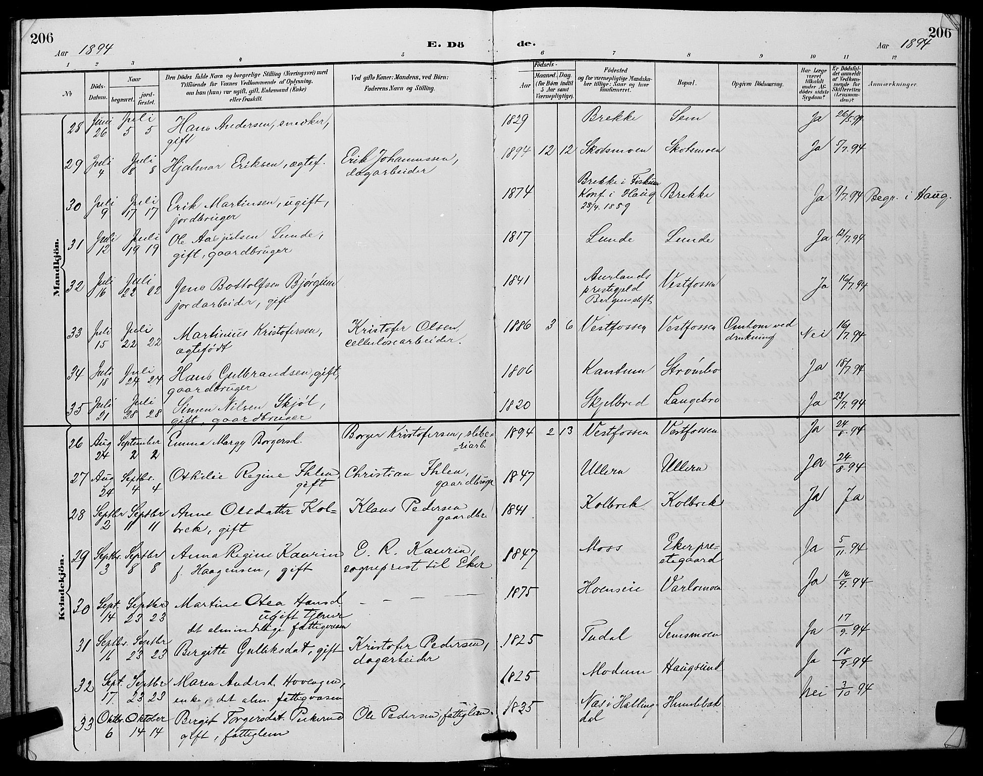 Eiker kirkebøker, AV/SAKO-A-4/G/Ga/L0007: Parish register (copy) no. I 7, 1893-1902, p. 206