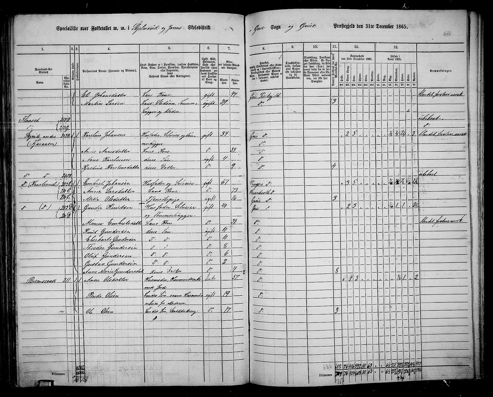 RA, 1865 census for Grue, 1865, p. 257