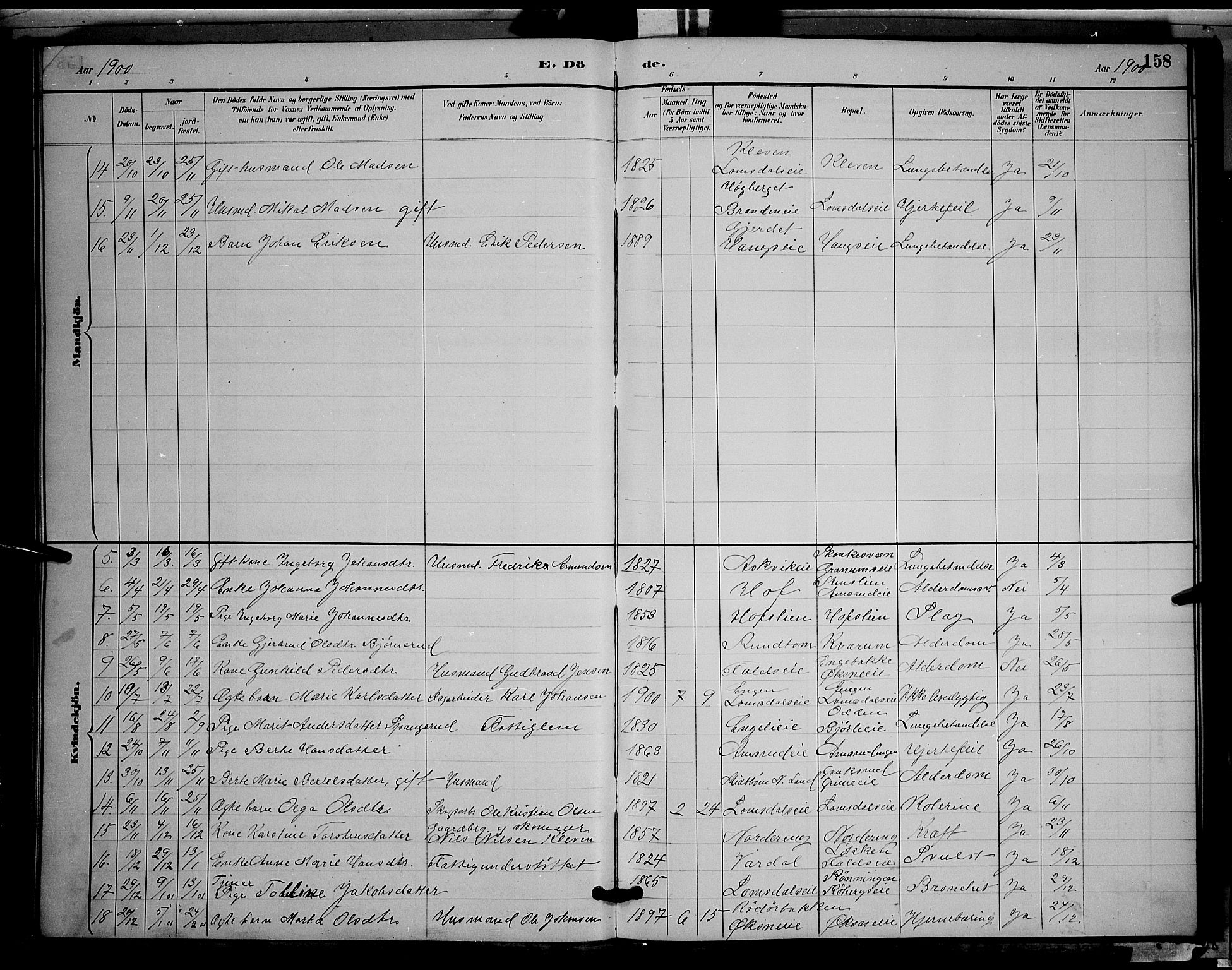 Søndre Land prestekontor, AV/SAH-PREST-122/L/L0002: Parish register (copy) no. 2, 1884-1900, p. 158