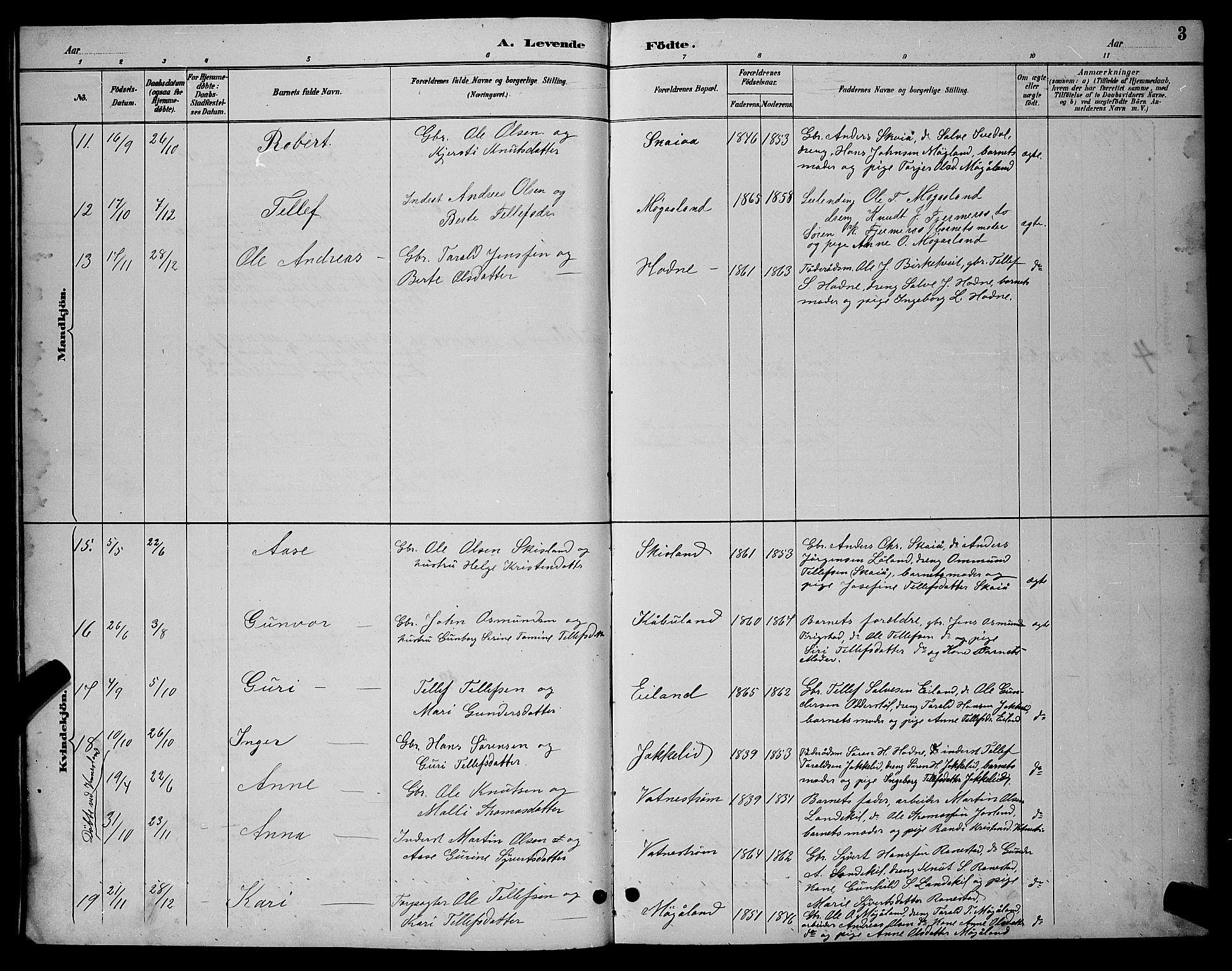 Evje sokneprestkontor, AV/SAK-1111-0008/F/Fb/Fbc/L0004: Parish register (copy) no. B 4, 1890-1900, p. 3