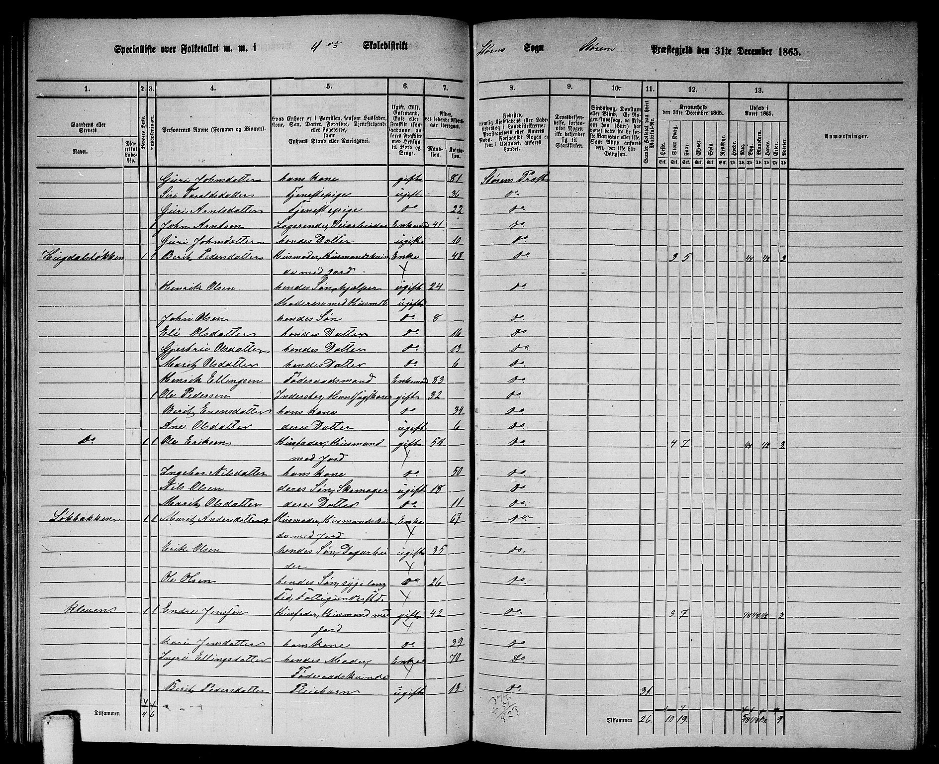 RA, 1865 census for Støren, 1865, p. 78