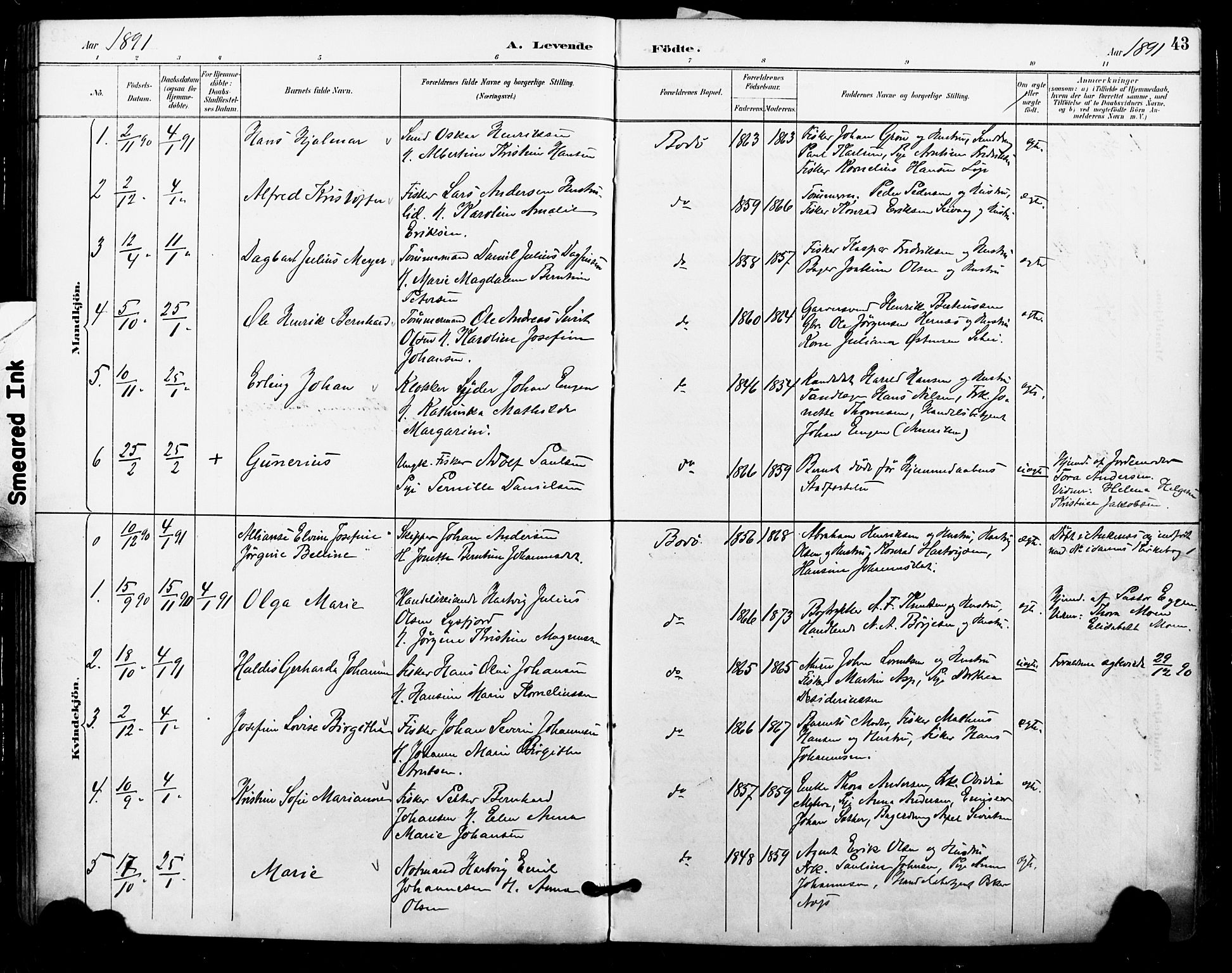 Ministerialprotokoller, klokkerbøker og fødselsregistre - Nordland, SAT/A-1459/801/L0010: Parish register (official) no. 801A10, 1888-1899, p. 43