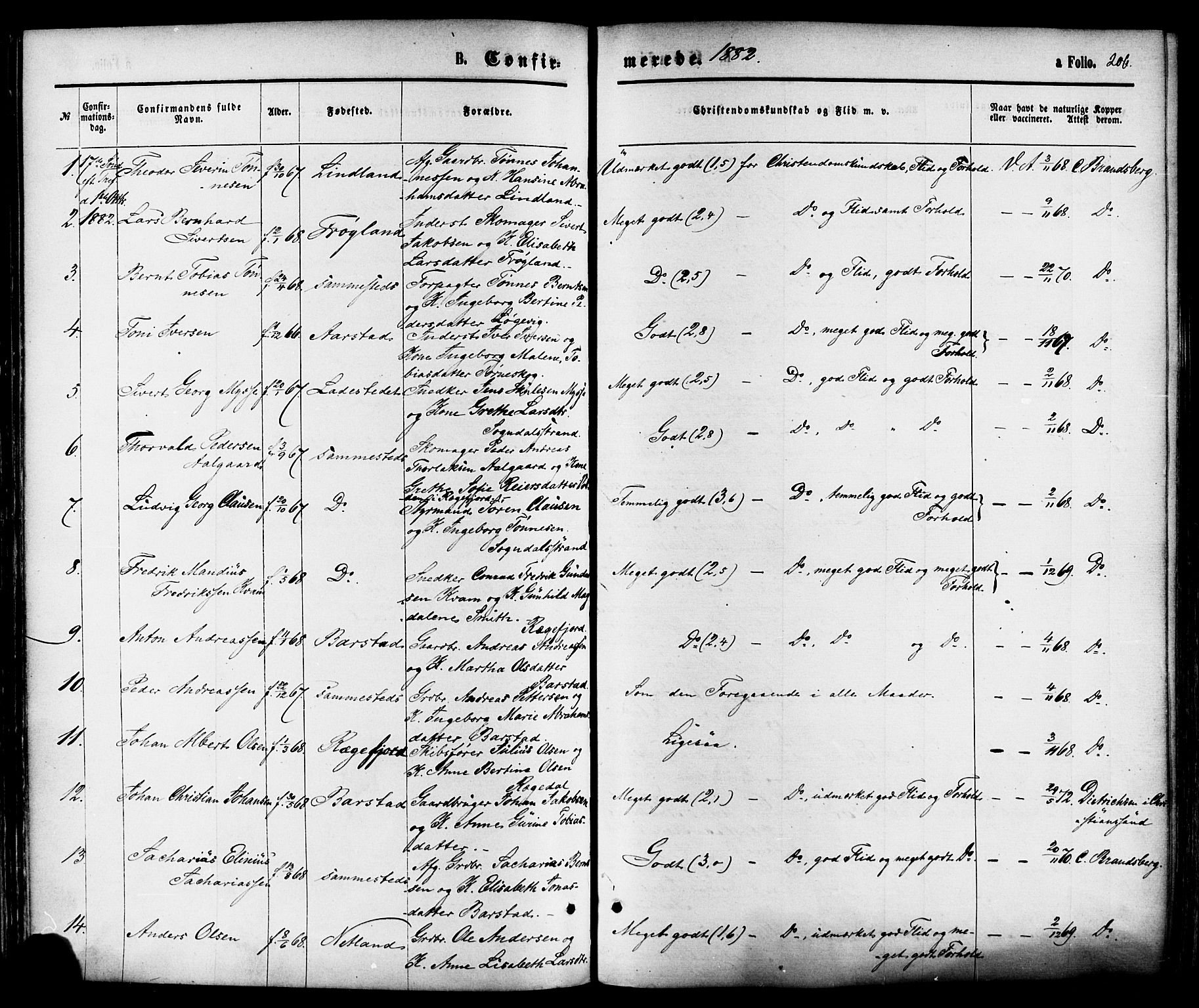 Sokndal sokneprestkontor, AV/SAST-A-101808: Parish register (official) no. A 10, 1874-1886, p. 206