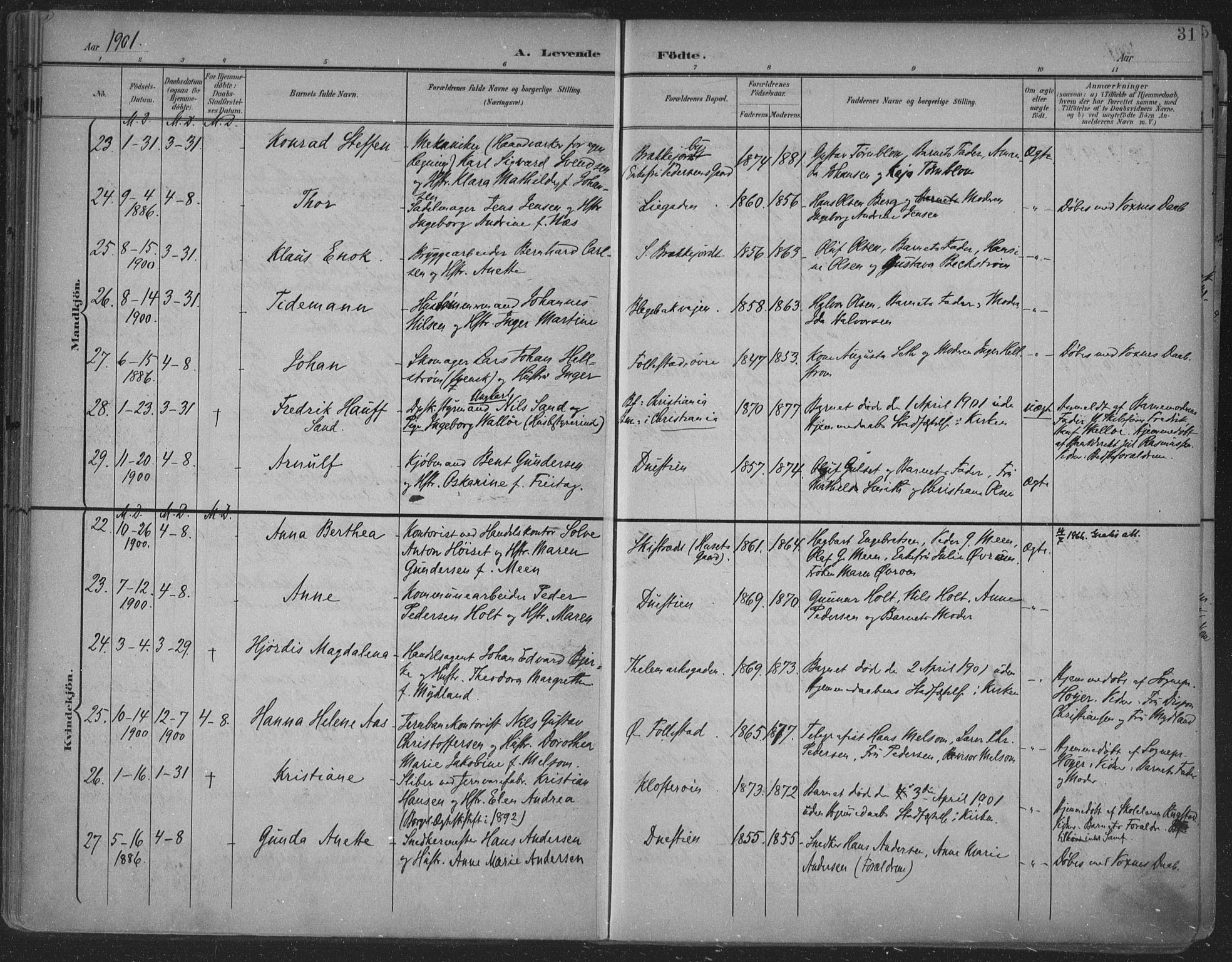 Skien kirkebøker, SAKO/A-302/F/Fa/L0011: Parish register (official) no. 11, 1900-1907, p. 31