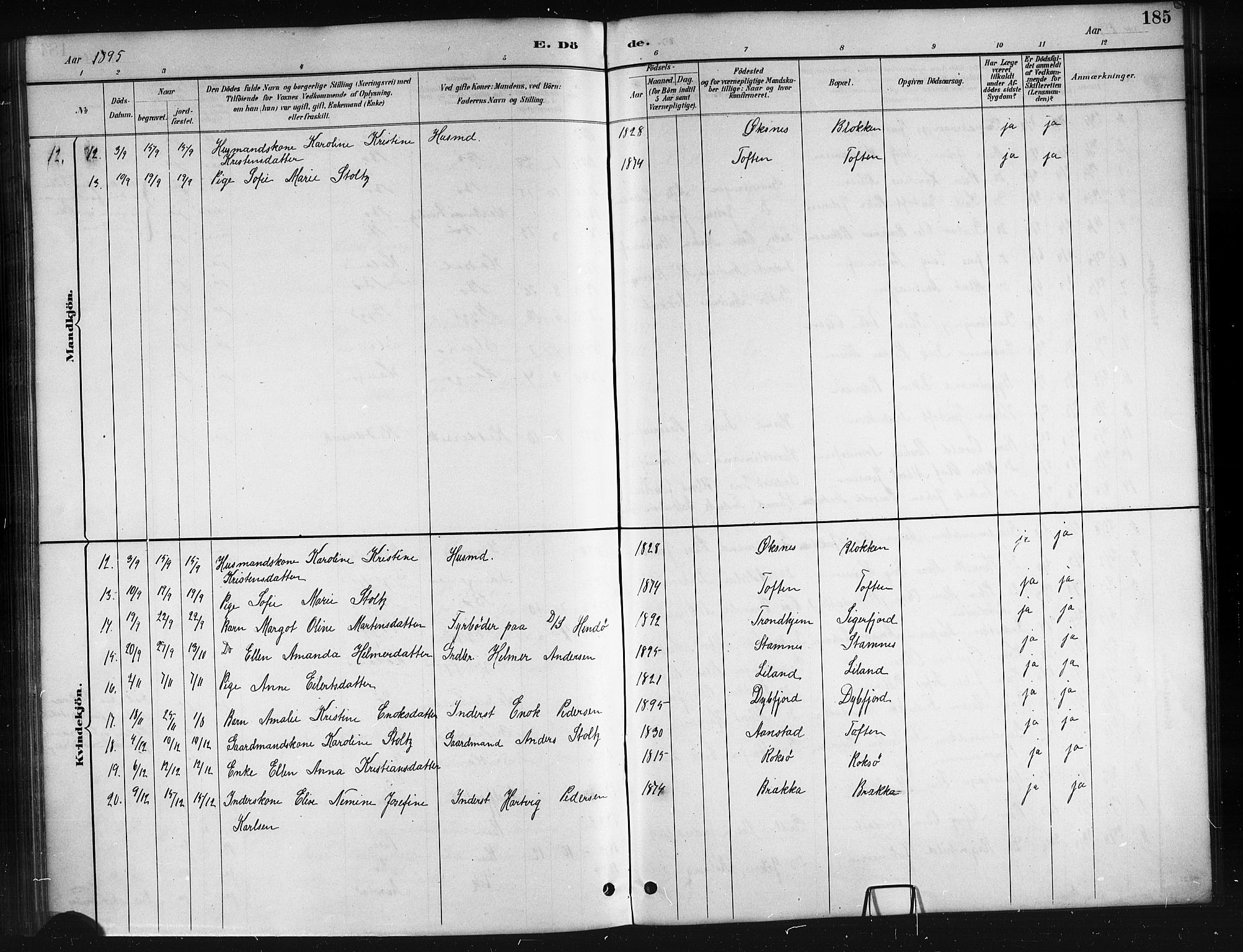 Ministerialprotokoller, klokkerbøker og fødselsregistre - Nordland, AV/SAT-A-1459/895/L1382: Parish register (copy) no. 895C04, 1885-1896, p. 185